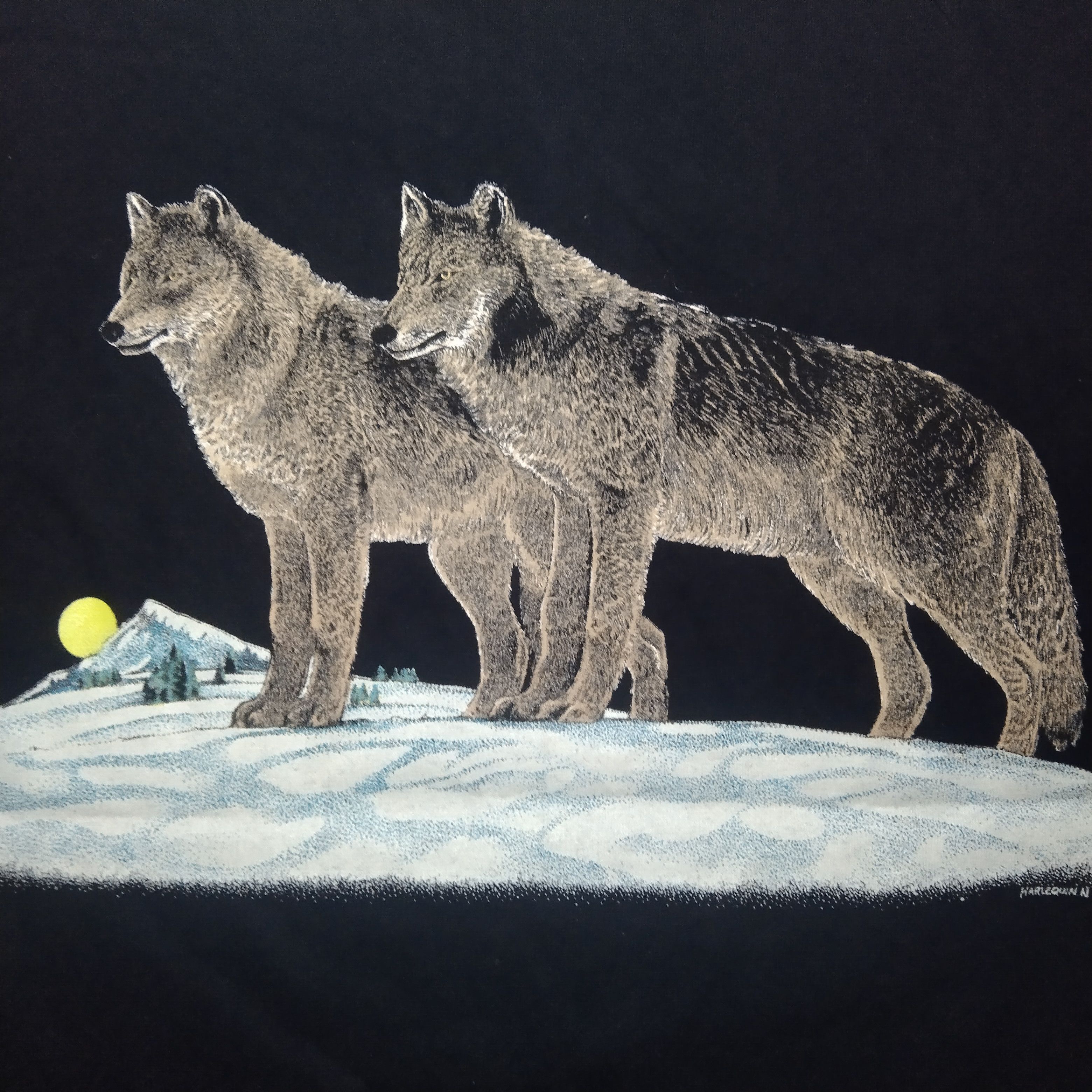 Vintage vintage 80's Harlequin NG Teena Houck wildlife t-shirt Size US M / EU 48-50 / 2 - 4 Thumbnail