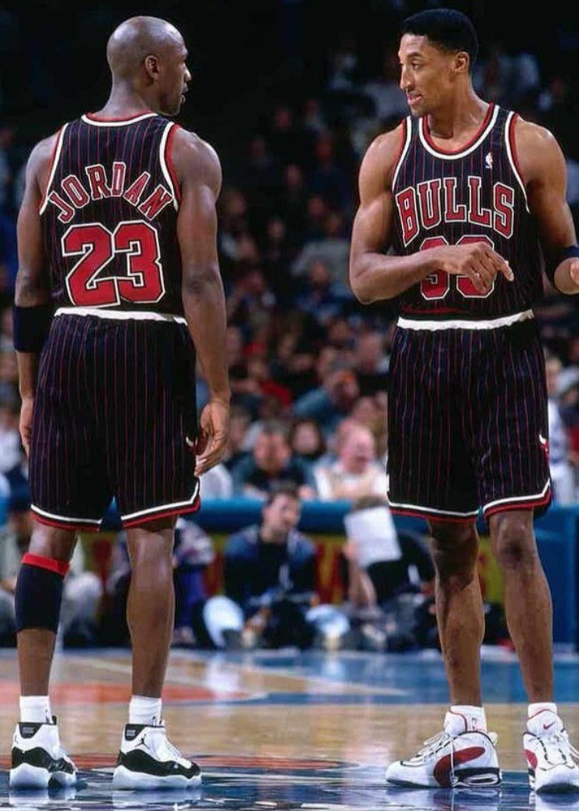 NBA Chicago Bulls (NBA)-(Just Don)-(Pin Stripe)-(Shorts)-XL-$35 Size US XL / EU 56 / 4 - 6 Thumbnail