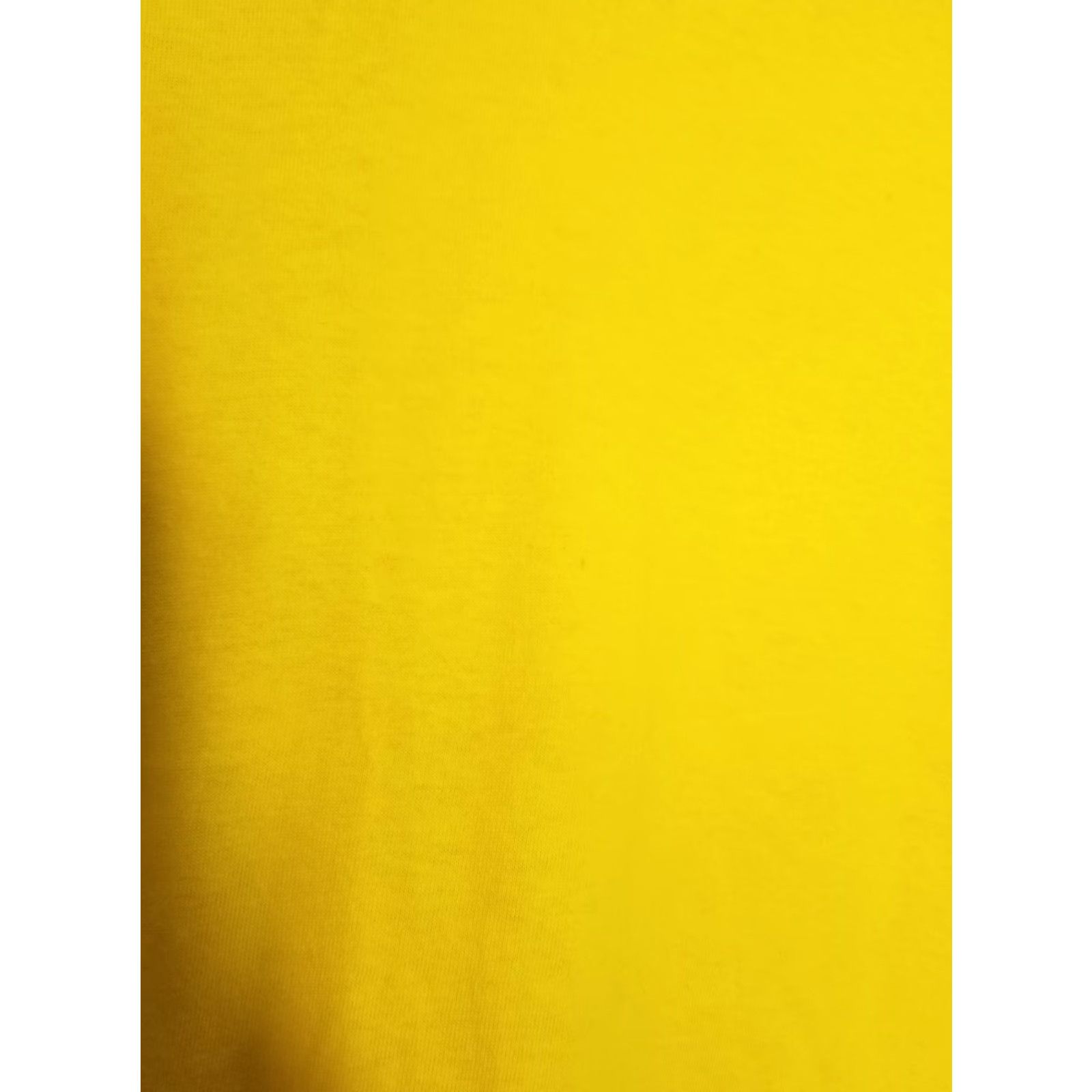 Doublet Rainforest Cafe Orlando Shirt Mens M Yellow T Shirt Double Sided Frog Flowers Size US M / EU 48-50 / 2 - 3 Thumbnail