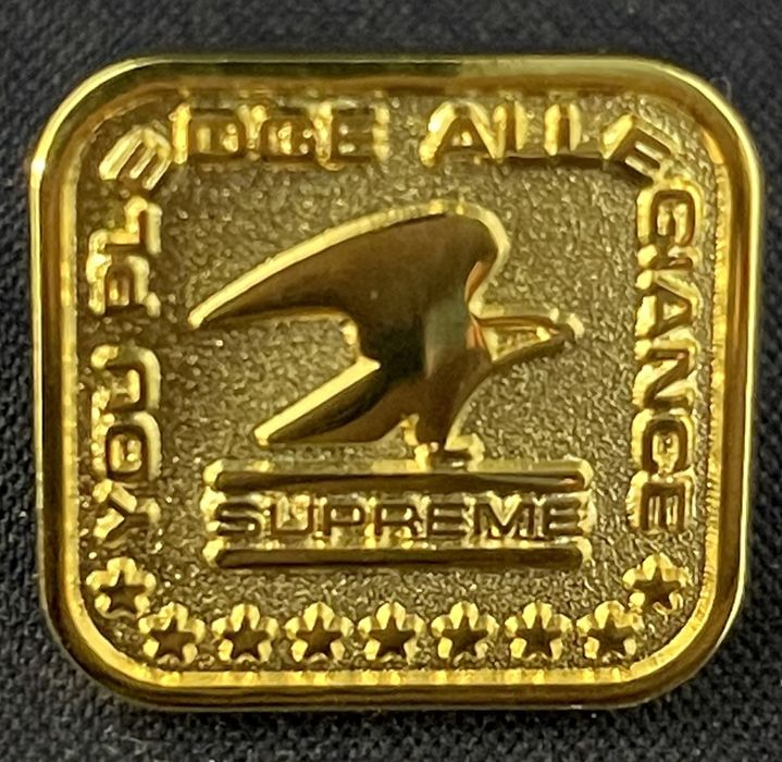 Supreme pledge allegiance store pin