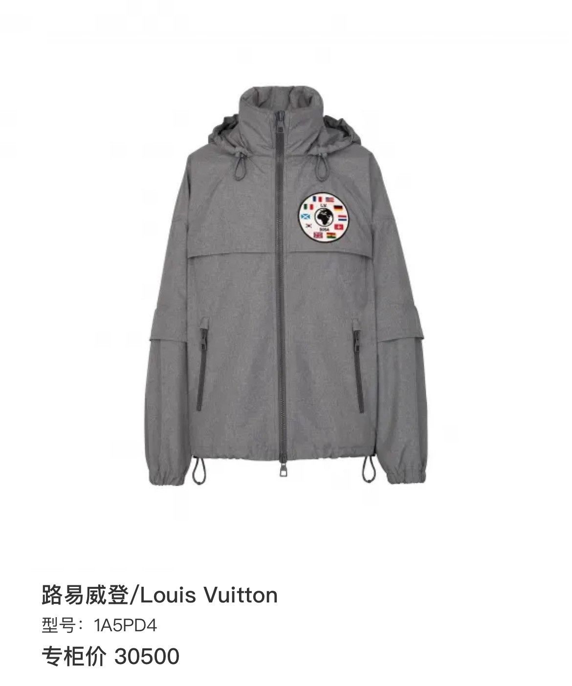 Louis Vuitton Louis Vuitton Gray Logo Embroidered Hooded Jacket Size US L / EU 52-54 / 3 - 1 Thumbnail