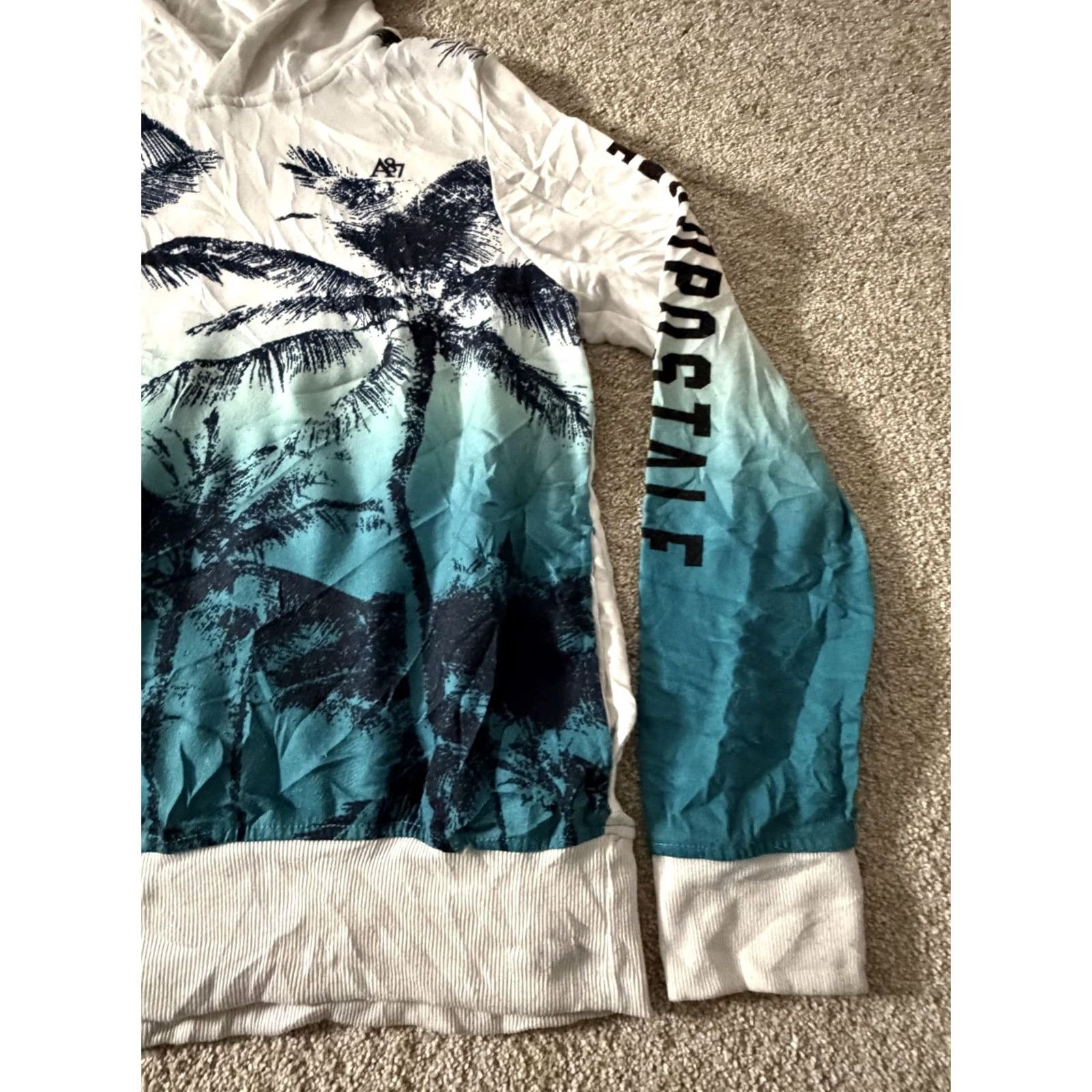Aeropostale Aeropostale Mens Medium Blue Palm Tree Graphic Hoodie Sweatshirt Size US M / EU 48-50 / 2 - 3 Thumbnail