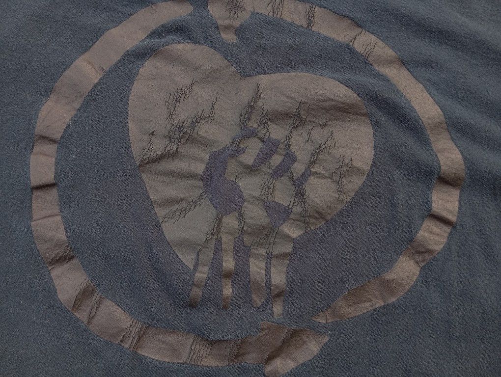 Band Tees VTG 2000s y2k Rise Against ✊ Tshirt Punk Rock Band 🎸 Size US XL / EU 56 / 4 - 3 Thumbnail