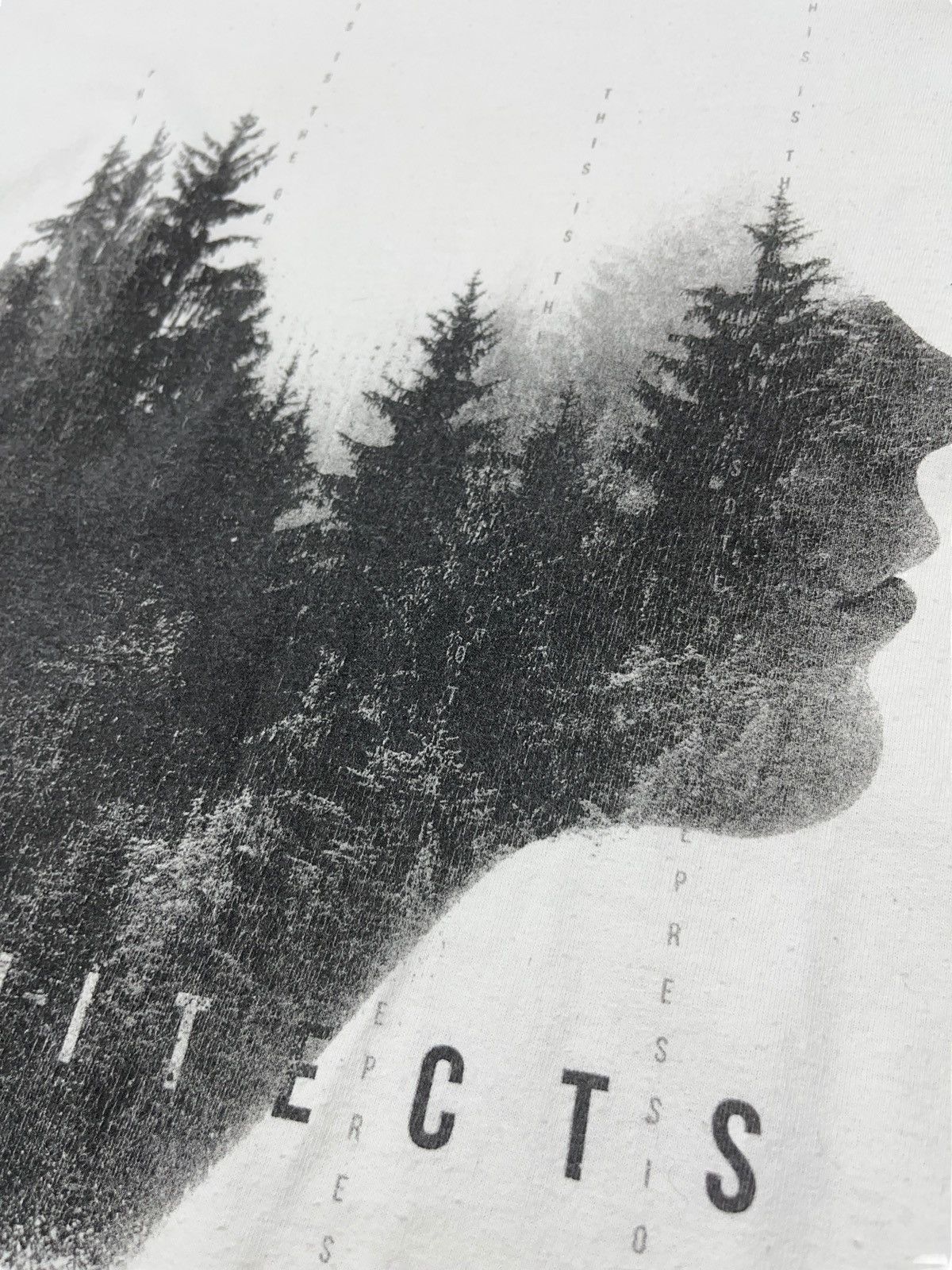 Band Tees × Vintage Vintage 00s Architects Metalcore Long Sleeve Shirt Size US XL / EU 56 / 4 - 5 Thumbnail