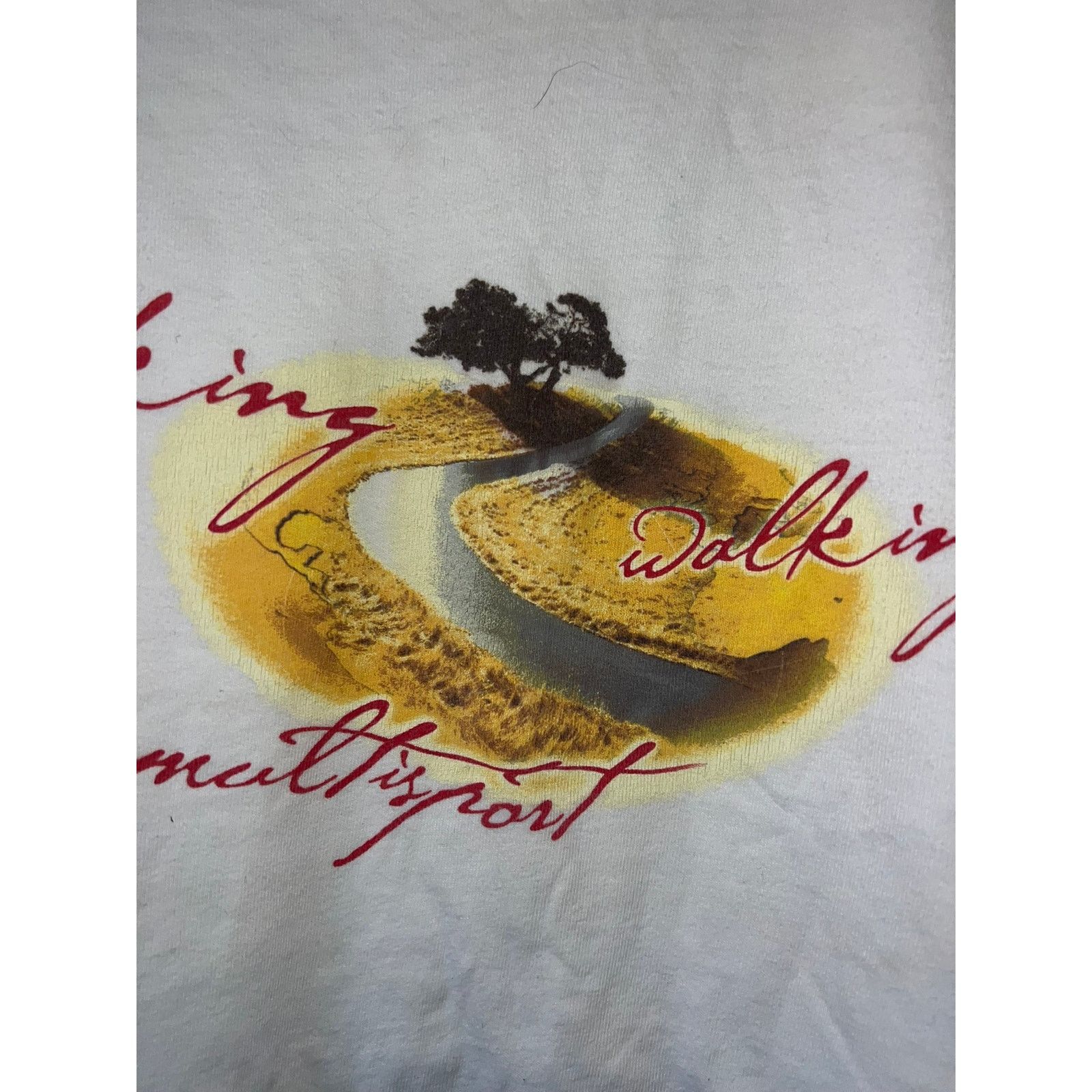 Hanes Vintage Biking Shirt Walking Multisport Backroads Tee 90s L Size US L / EU 52-54 / 3 - 3 Thumbnail