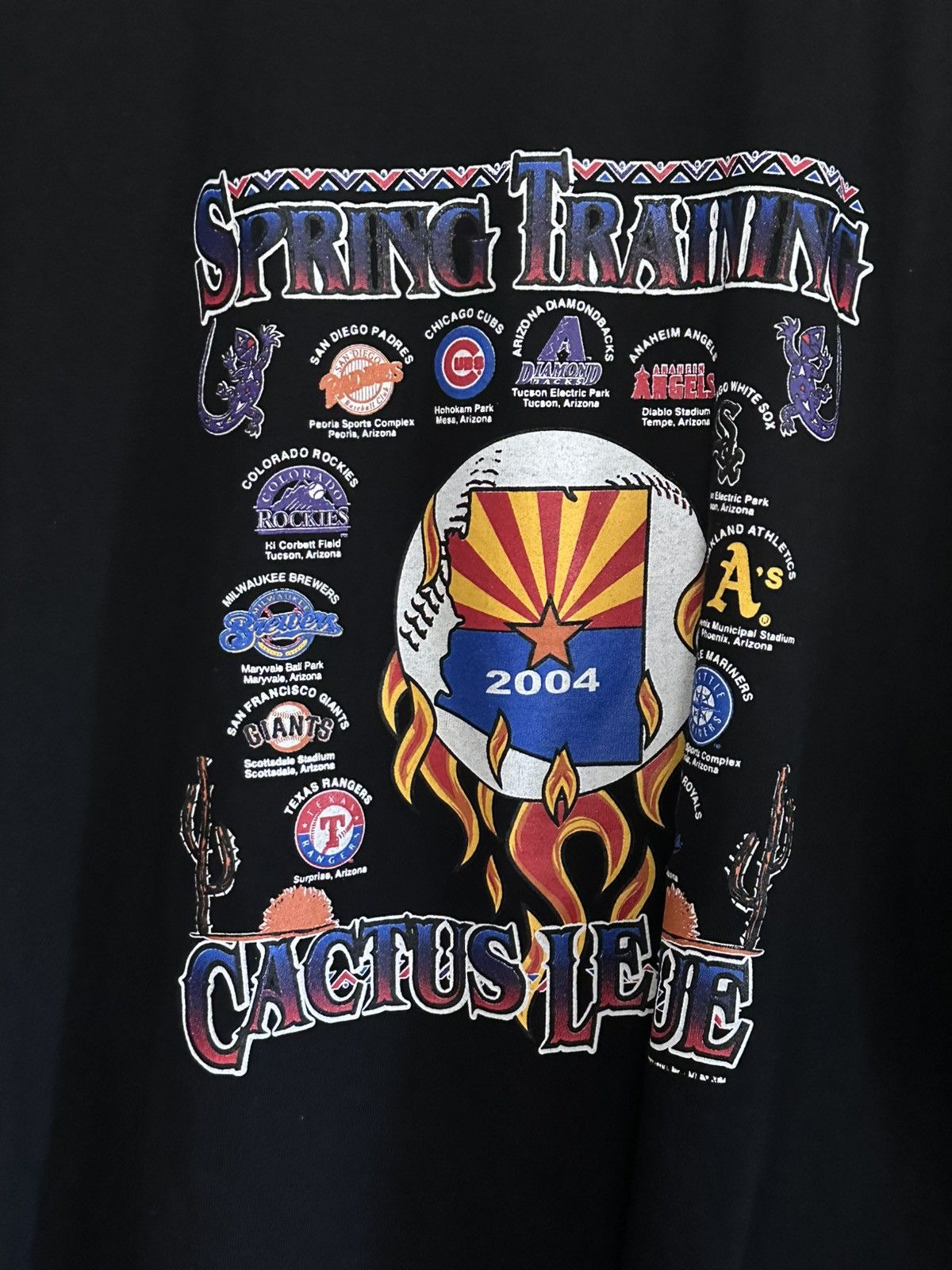 Gildan Vintage 2004 Arizona Spring Training Cactus League T-Shirt Size US L / EU 52-54 / 3 - 2 Thumbnail