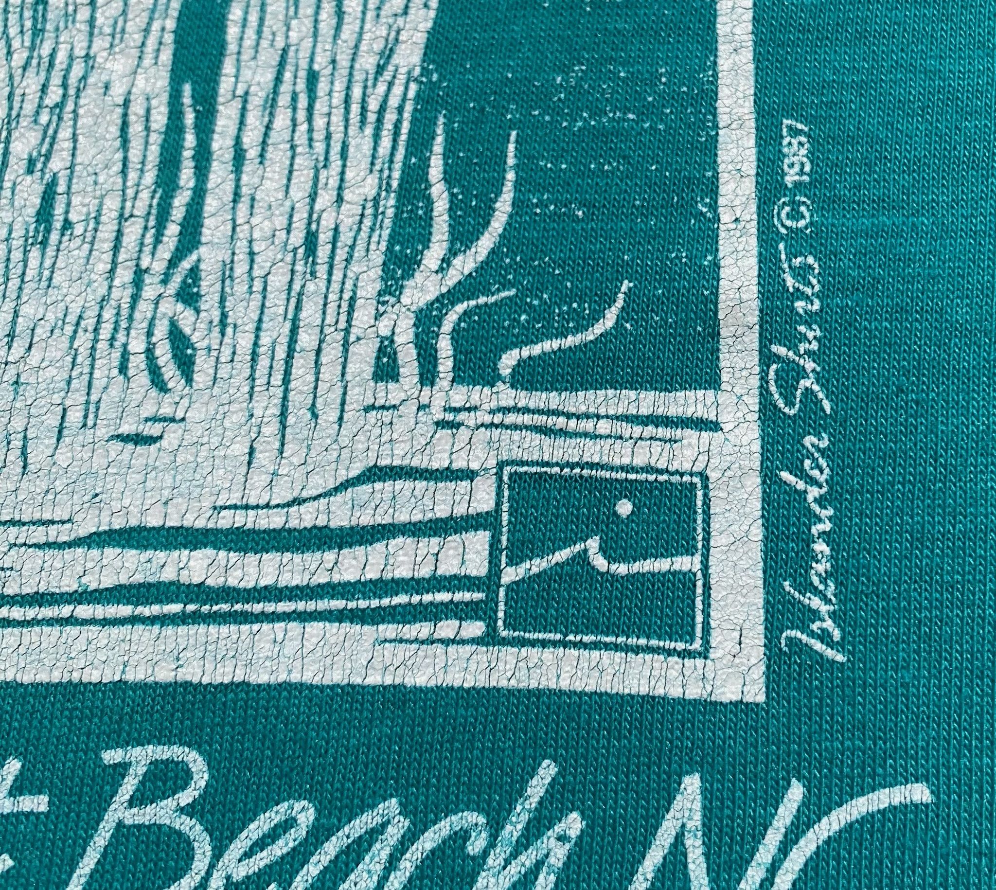 Hanes 80’s Sunset Beach NC Pelican T-shirt Men’s Medium Size US M / EU 48-50 / 2 - 3 Thumbnail