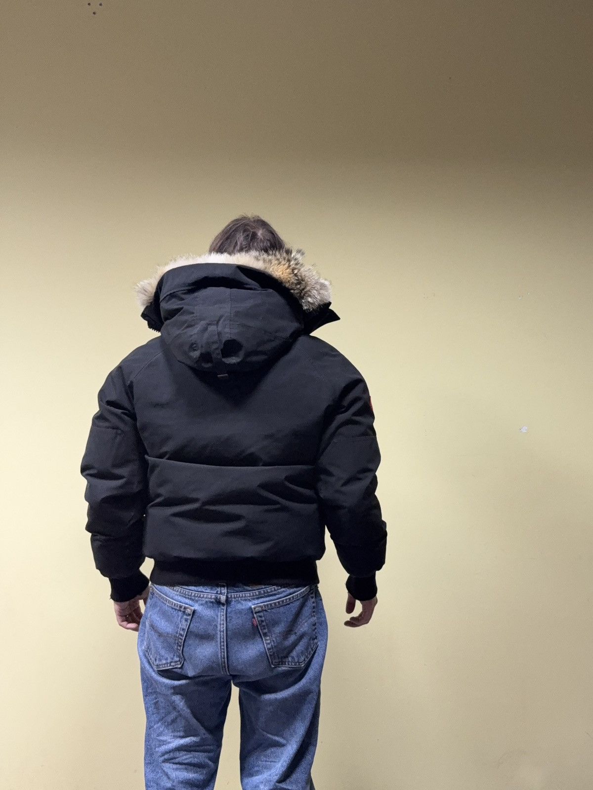Canada Goose Canada Goose Chilliwack bomber down jacket fur Size US M / EU 48-50 / 2 - 2 Thumbnail