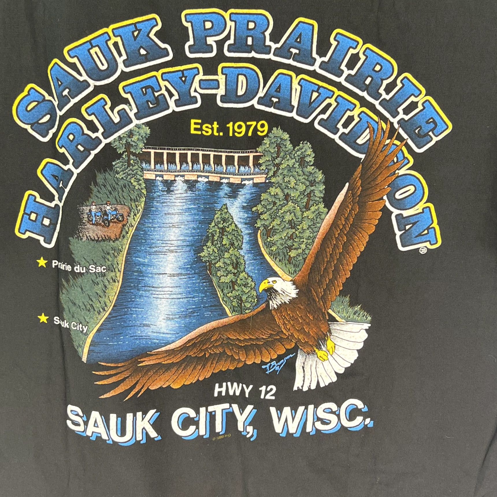 Harley Davidson VINTAGE Harley-Davidson T-Shirt Mens XL Black Graphic 2000 Sauk City WISC Size US XL / EU 56 / 4 - 3 Thumbnail
