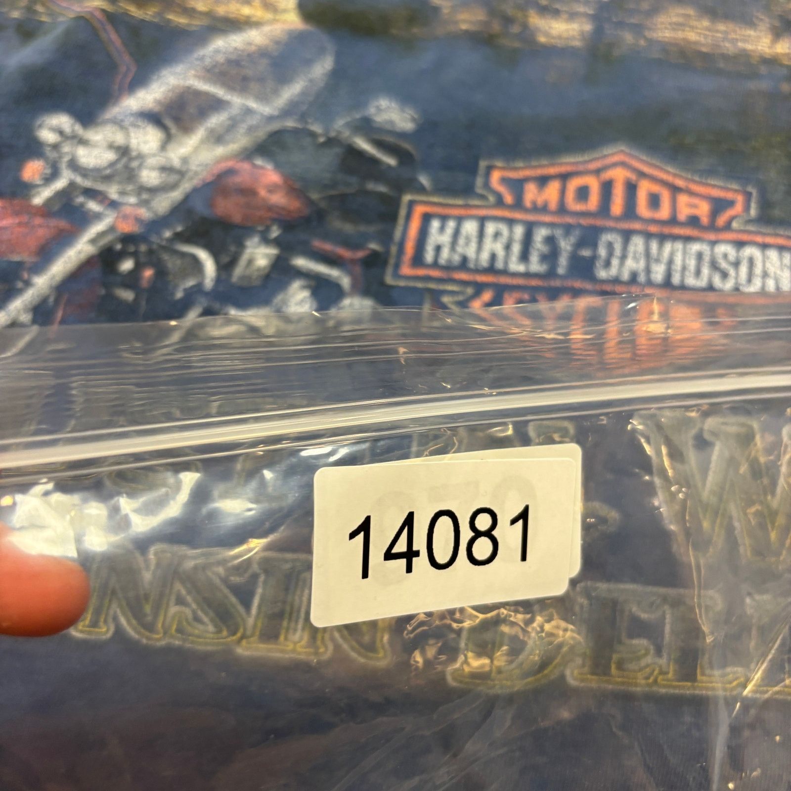 Harley Davidson Harley Davidson Wisconsin Dells Reel Brothers Shirt Large Size US L / EU 52-54 / 3 - 12 Thumbnail