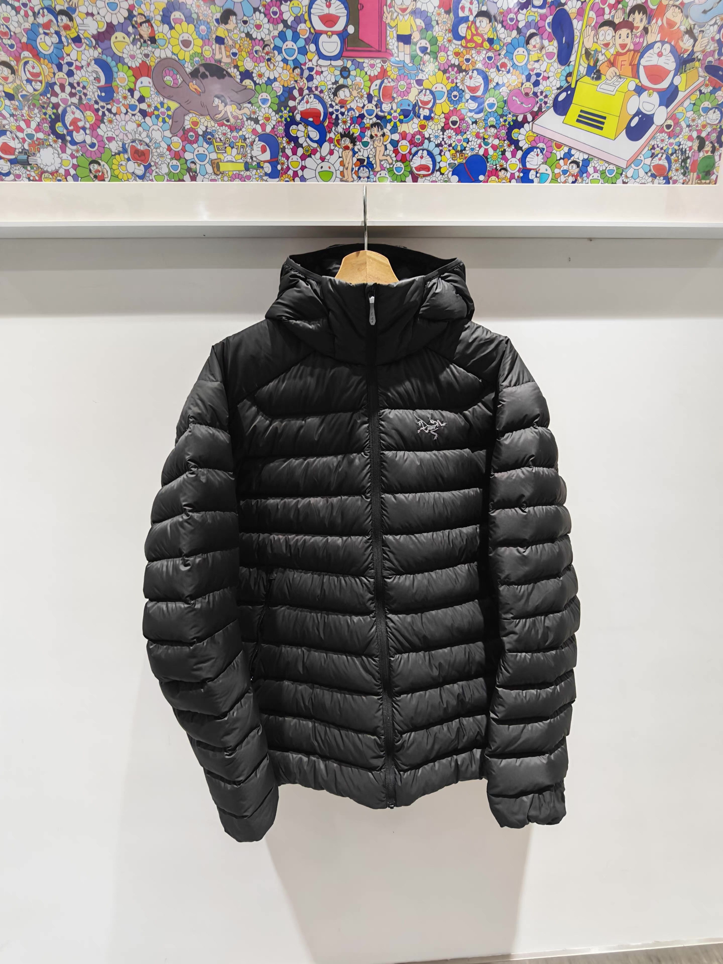 Arc'teryx Arc'teryx Cerium 850 Fill Hooded Down Jacket。 Q15 Size US L / EU 52-54 / 3 - 1 Thumbnail