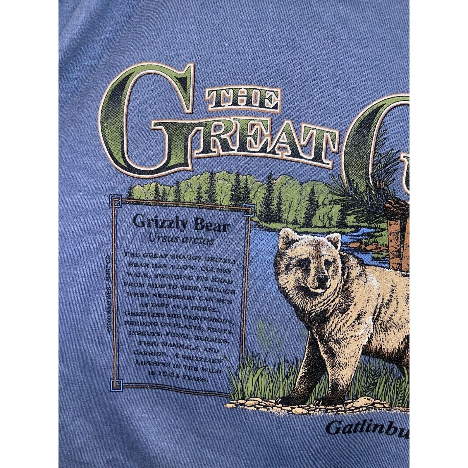 Anvil Vintage Grizzly Bear Shirt The Great Outdoors Tee Nature XL Size US XL / EU 56 / 4 - 5 Thumbnail