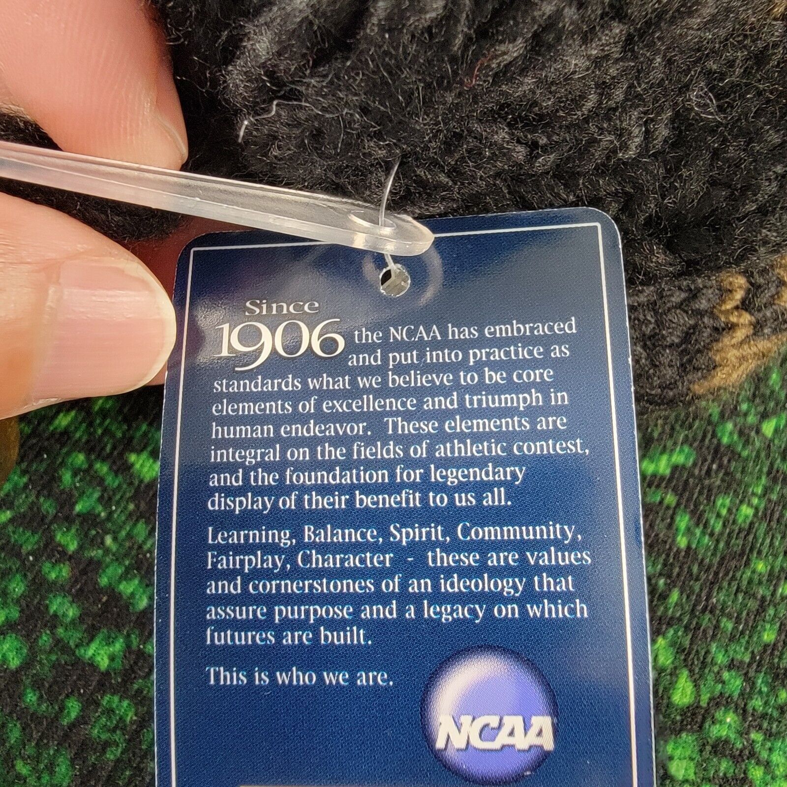 Signatures UNH Wildcats Winter Hat OSFA Size ONE SIZE - 6 Thumbnail
