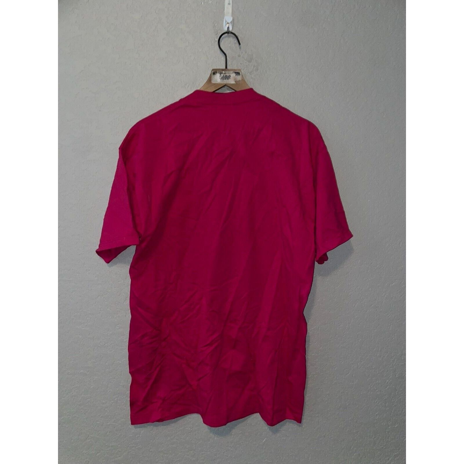 Jerzees Vintage Amish Shirt Pennsylvania Country Tee Pink VTG 90s L Size US L / EU 52-54 / 3 - 8 Thumbnail