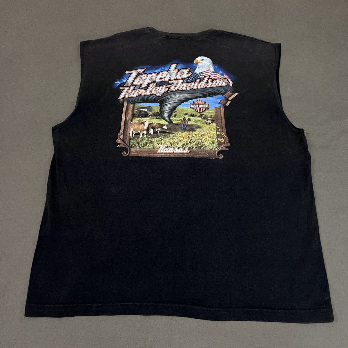 Harley Davidson Vintage Y2K Harley Davidson Topeka Kansas Sleeveless Shirt Size US XL / EU 56 / 4 - 1 Thumbnail
