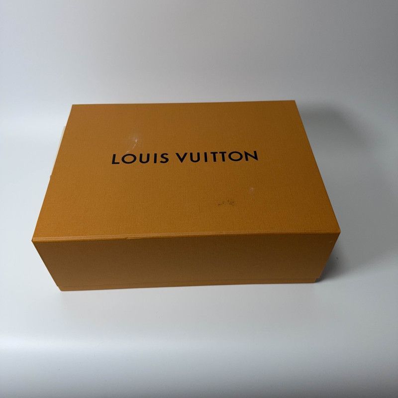 Louis Vuitton Louis Vuitton Blue Skate Shoes for Men and Women -2508 Size US 8 / EU 41 - 6 Thumbnail