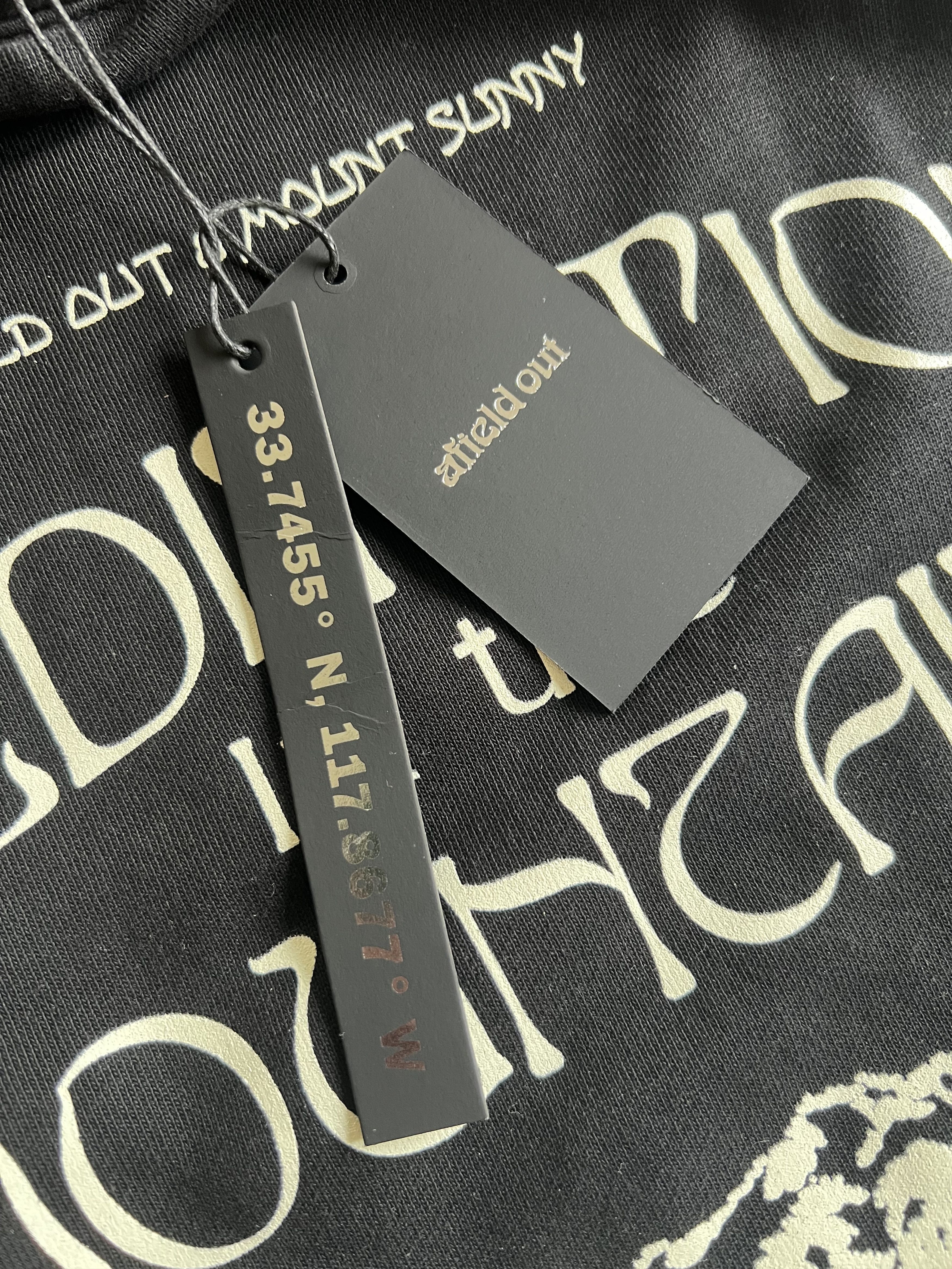 Afield Out Afield Out x Mount Sunny Meditation Hoodie / Gorpcore Size US L / EU 52-54 / 3 - 5 Thumbnail