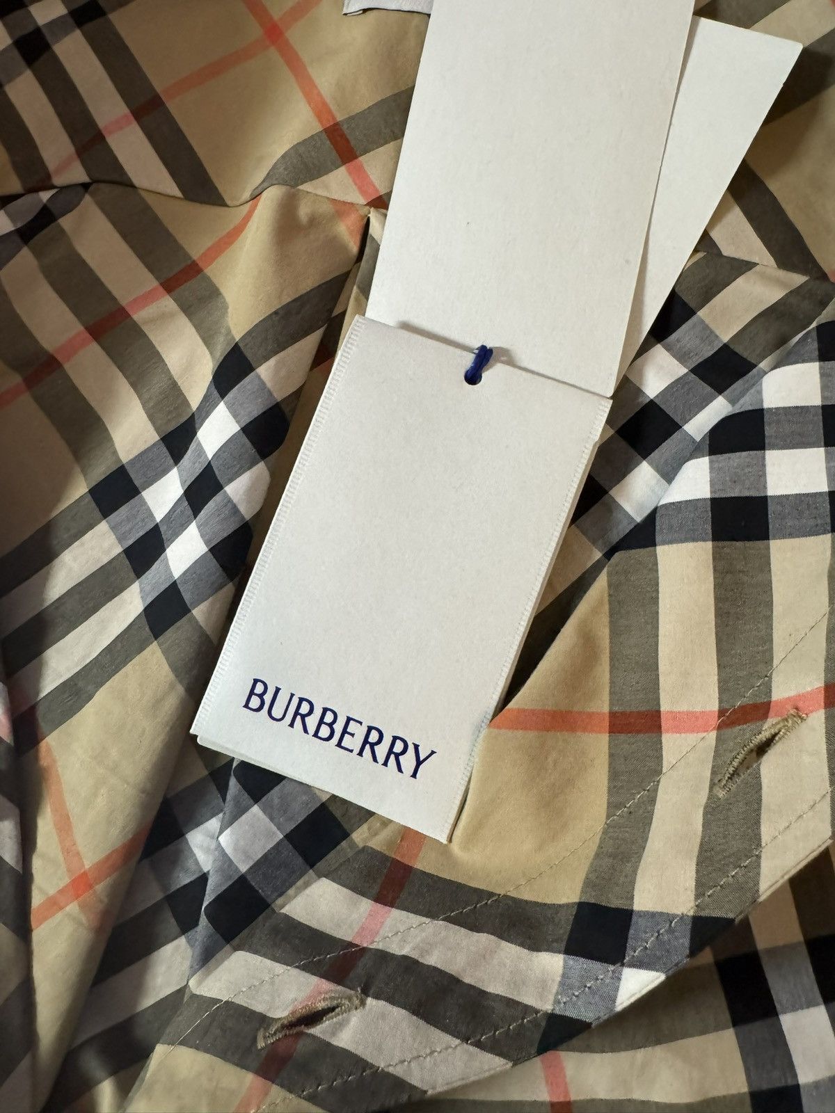 Burberry Relaxed Fit Check Cotton Flannel Shirt Button-Down Shirt Size US L / EU 52-54 / 3 - 7 Thumbnail