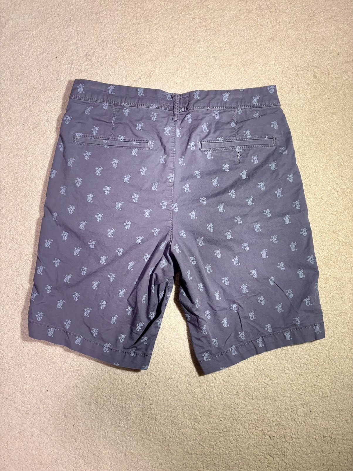 American Eagle Outfitters American Eagle Pineapple Chino Shorts Mens 32 Blue Size US 32 / EU 48 - 2 Thumbnail