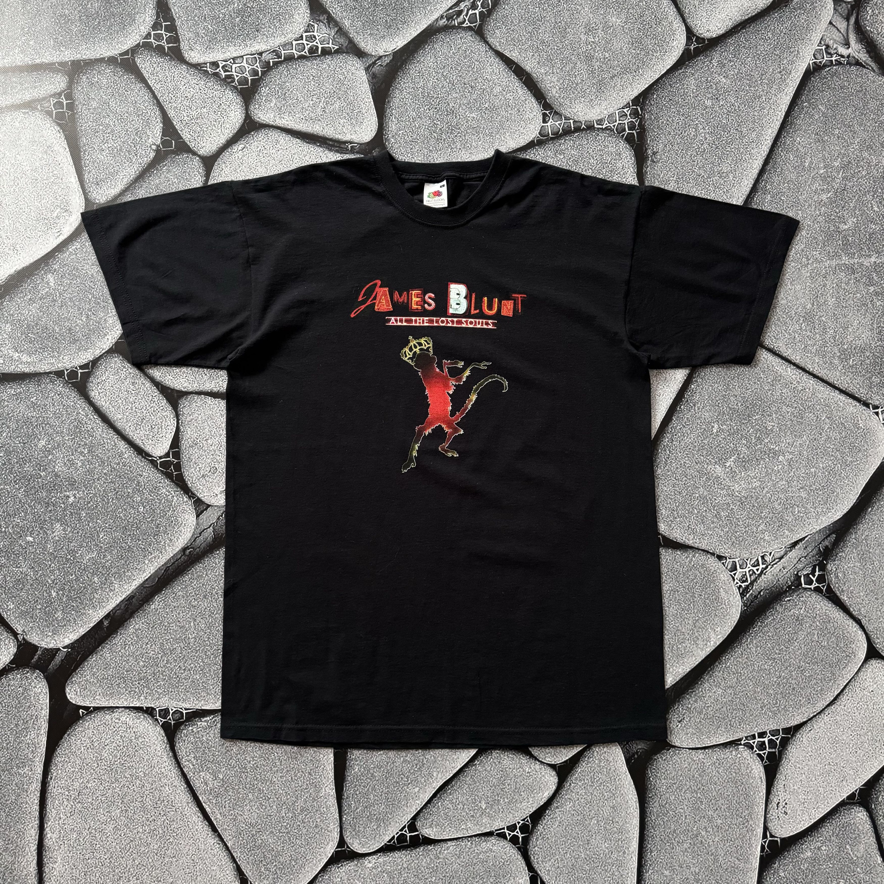 Band Tees × Vintage JAMES BLUNT 2008 TOUR BAND T SHIRT VINTAGE ROCK Size US L / EU 52-54 / 3 - 1 Thumbnail