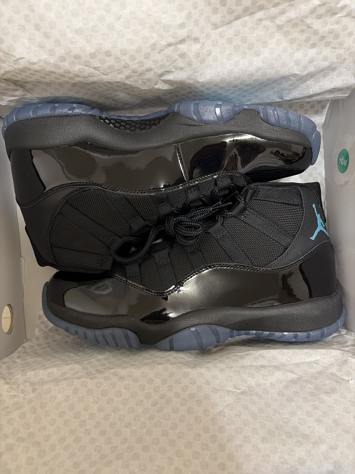 Jordan 11 “Gamma”