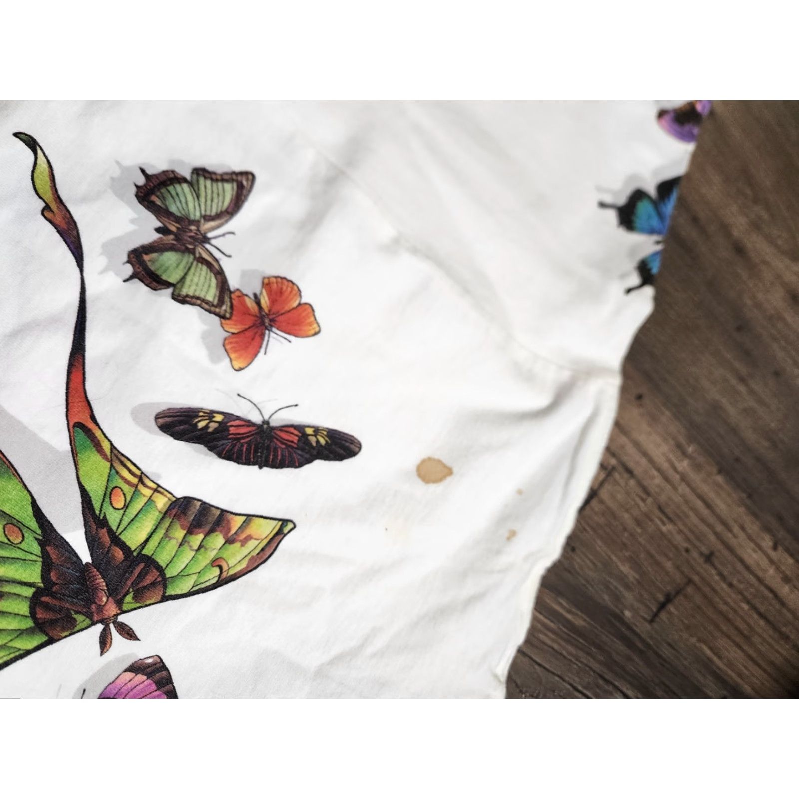 Anvil Vintage Anvil Mens M T-Shirt Florida Butterfly Art 2000s White Crew Neck Size US M / EU 48-50 / 2 - 6 Thumbnail