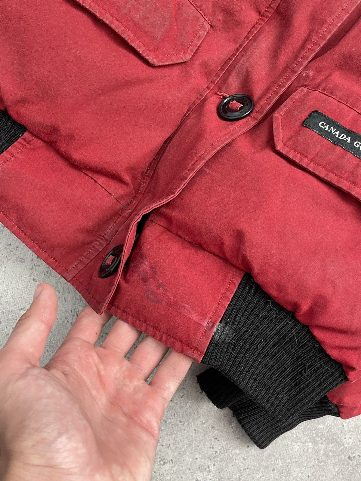 Canada Goose Canada Goose Chilliwack Bomber Fur Jacket Size US S / EU 44-46 / 1 - 4 Thumbnail