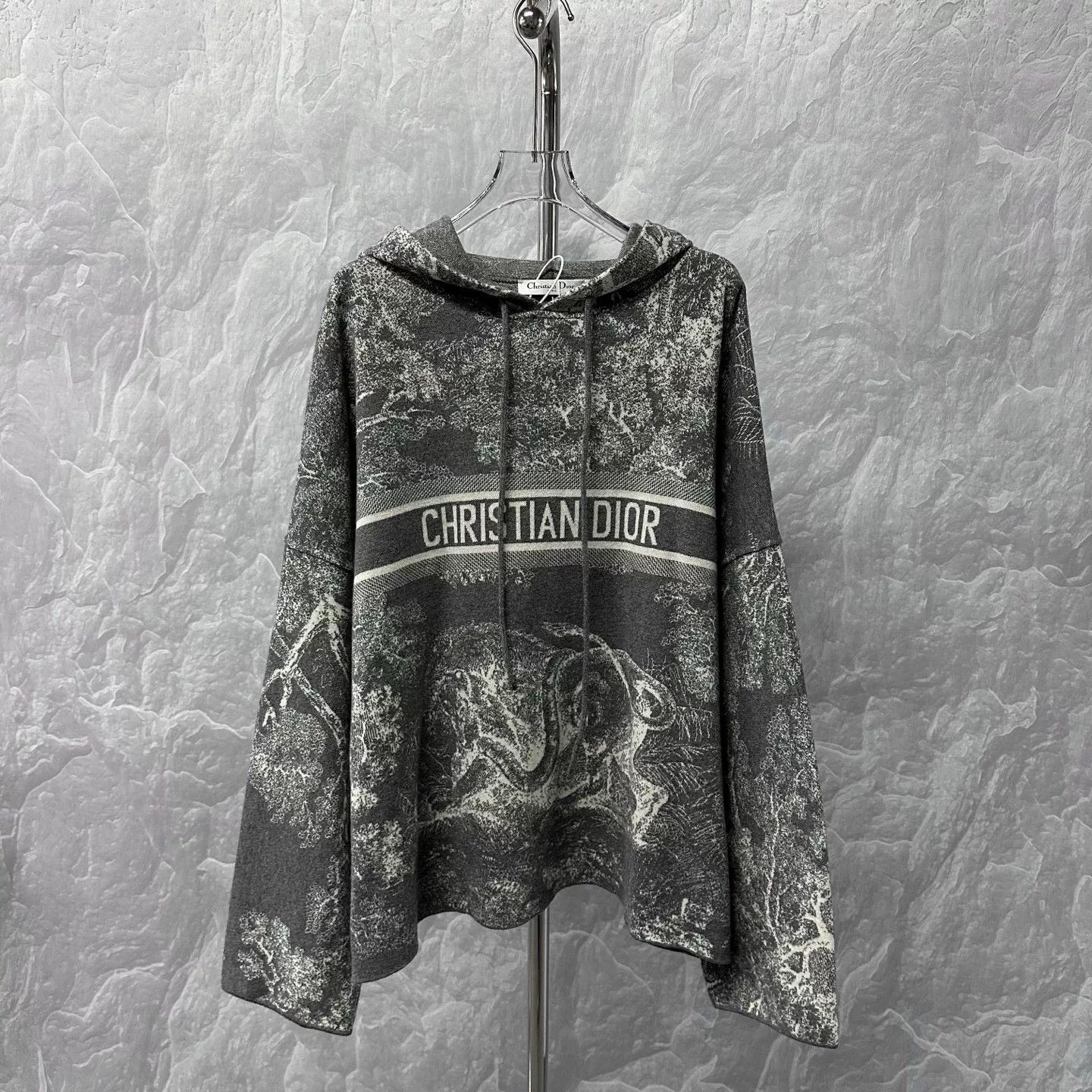 Dior new dior animal logo hoodie size large Size US L / EU 52-54 / 3 - 1 Thumbnail