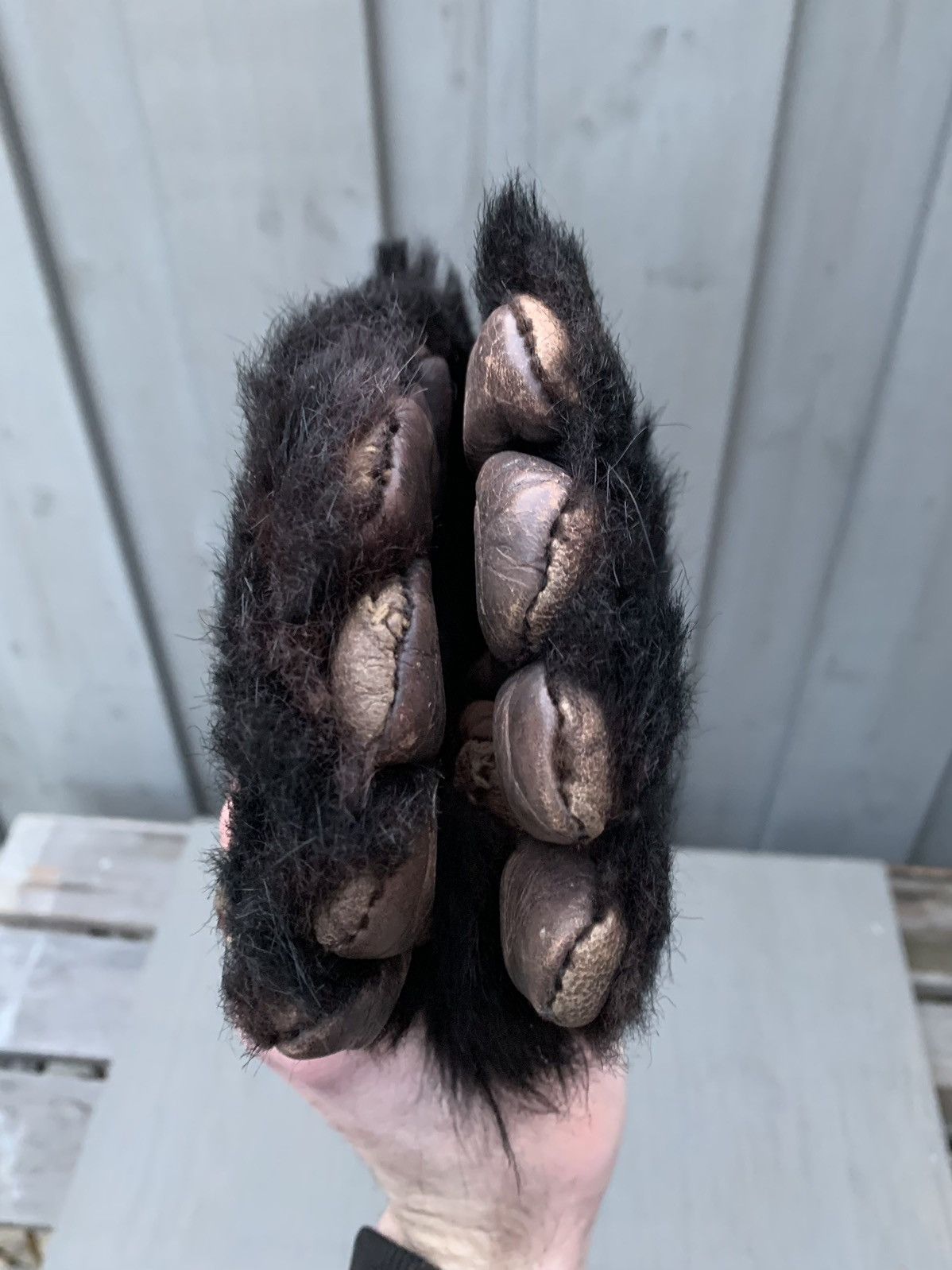 Vintage Antique Bear Fur Gloves True Vintage Bearskin Monkey Paw Mit Size ONE SIZE - 12 Thumbnail