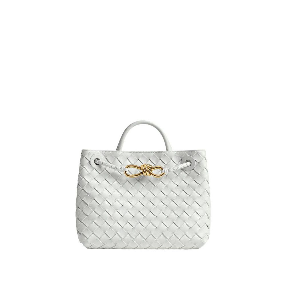 BOTTEGA VENETA Andiamo Small $4700 Hoarfrost Leather Top Han
