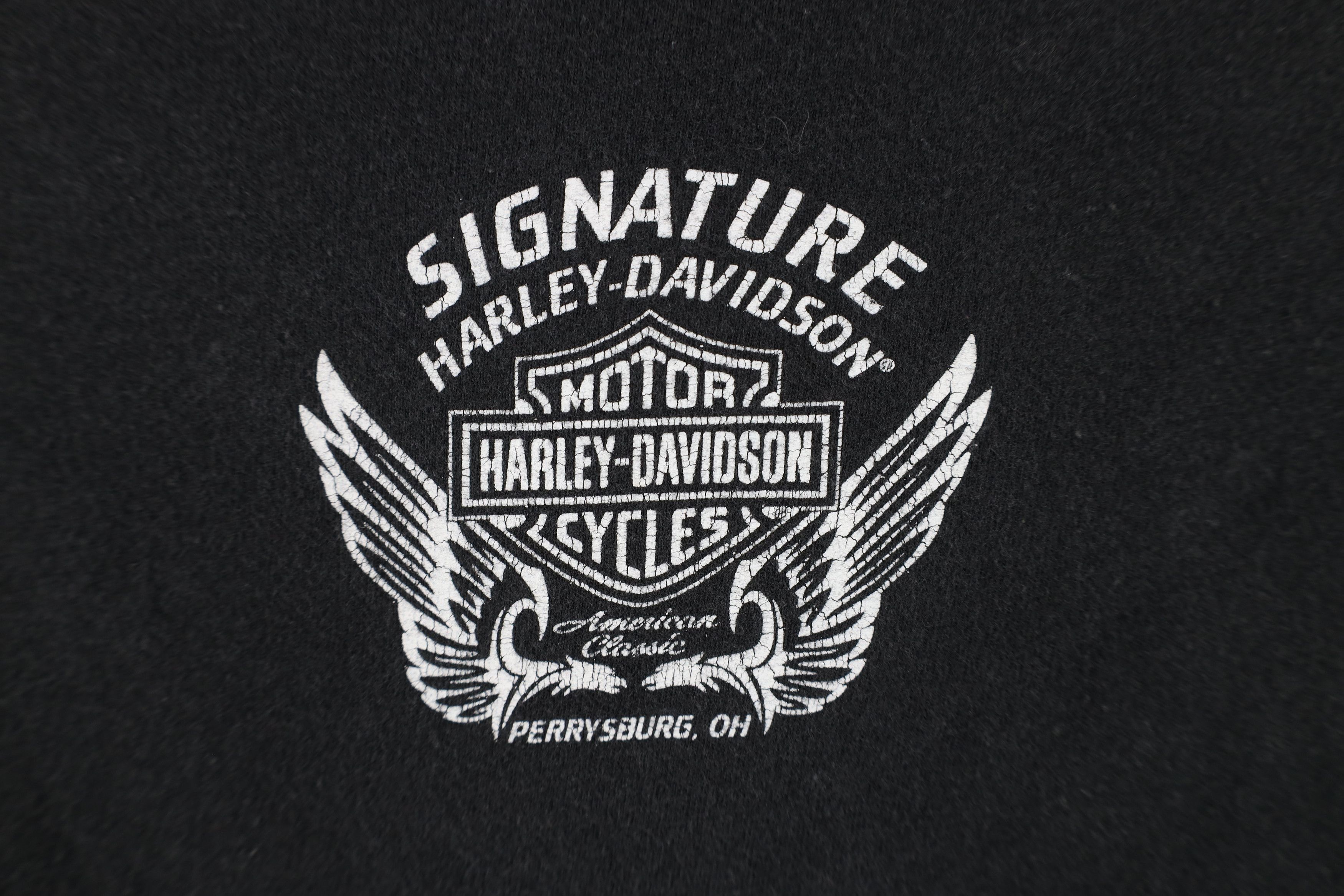 Harley Davidson Vintage Y2K Harley Davidson Tribal Long Sleeve T-Shirt Size L / US 10 / IT 46 - 12 Thumbnail
