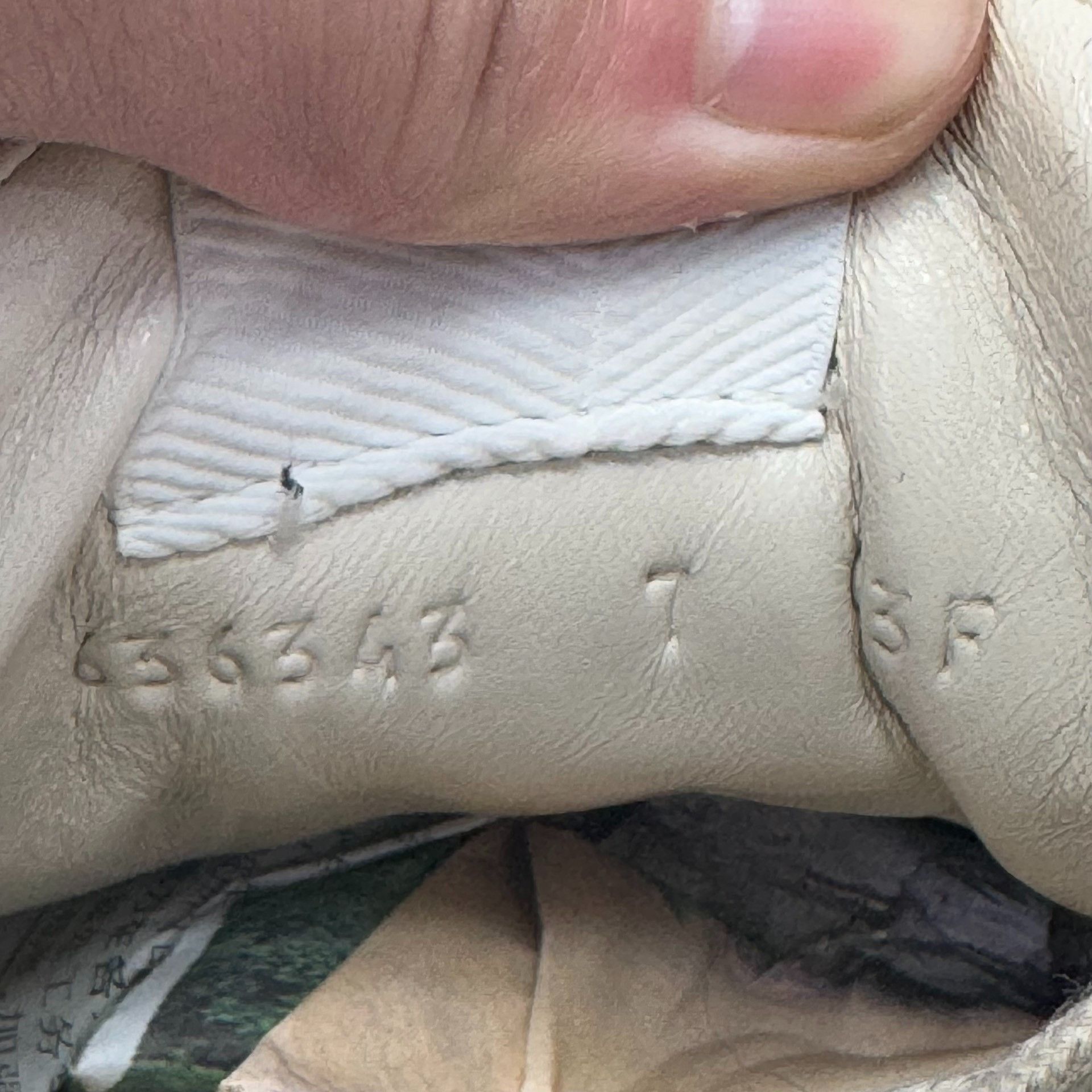 Gucci Gucci Dad's shoes 2501-Nextarrow Size US 8 / EU 41 - 4 Thumbnail