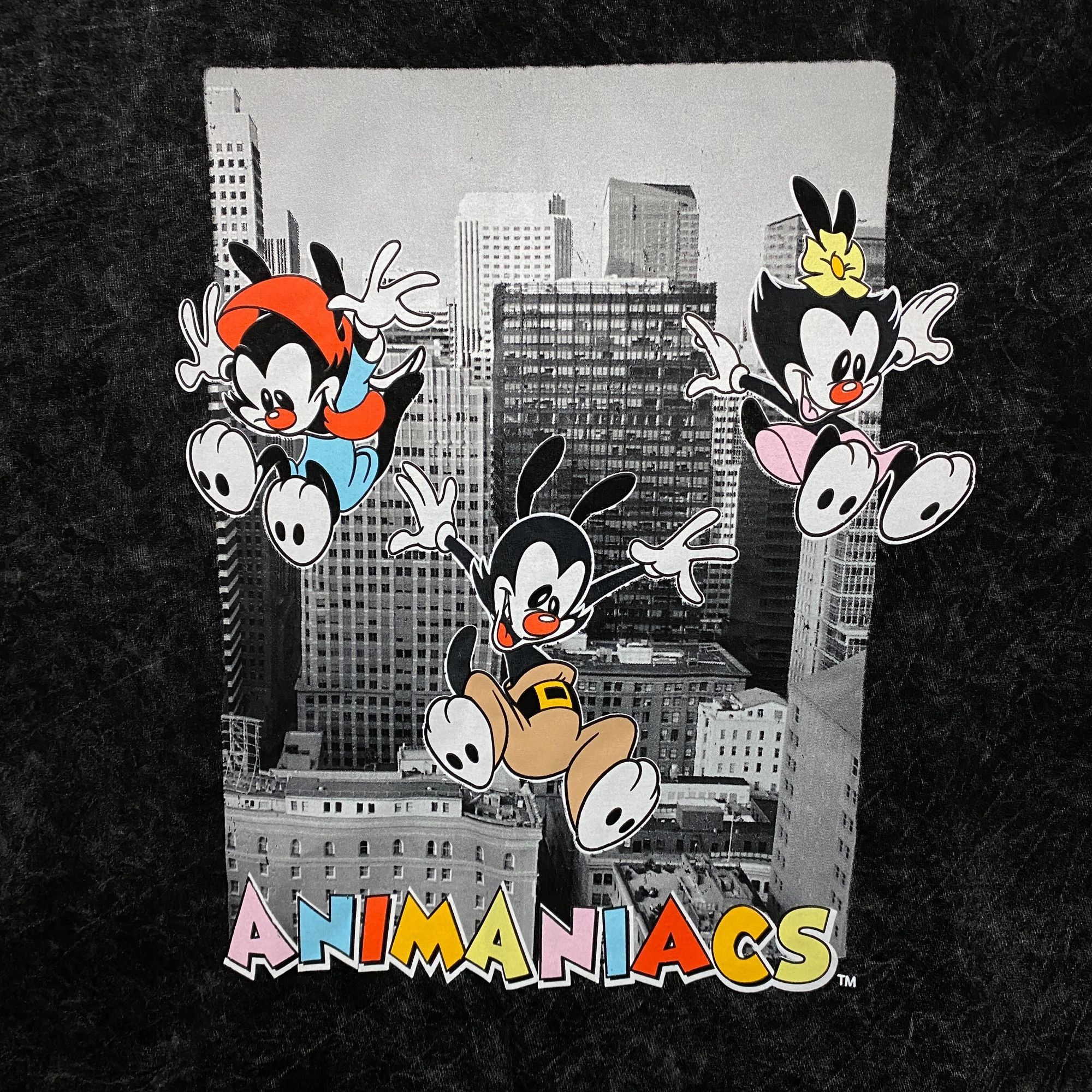Cartoon Network Animaniacs Yakko, Wakko, & Dot Mineral Wash Oversized Tee XL Size US XL / EU 56 / 4 - 2 Thumbnail