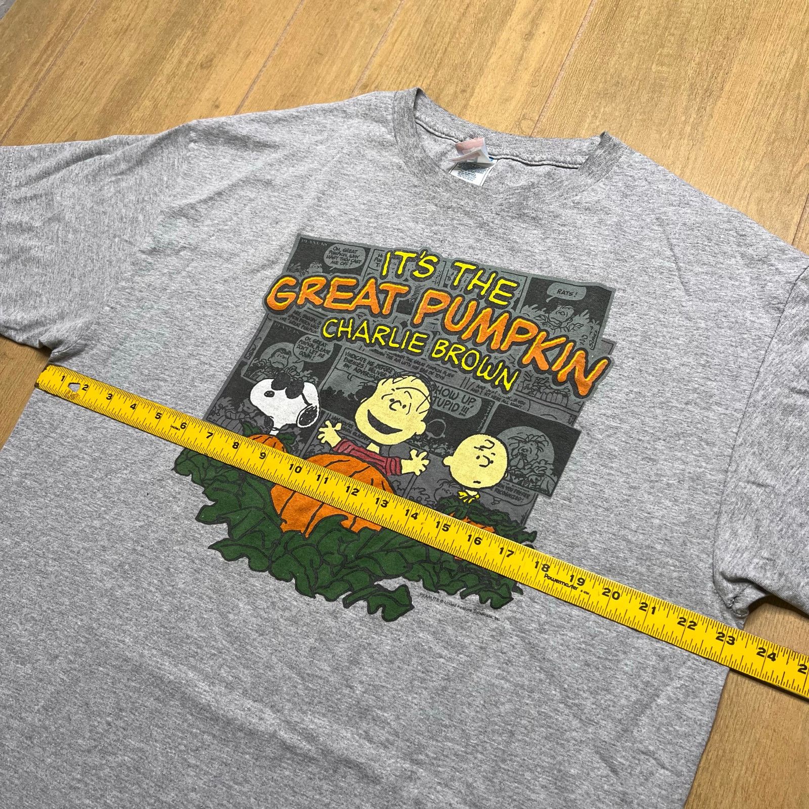 Peanuts Peanuts It’s The Great Pumpkin Charlie Brown T-Shirt Sz XL Size US XL / EU 56 / 4 - 8 Thumbnail