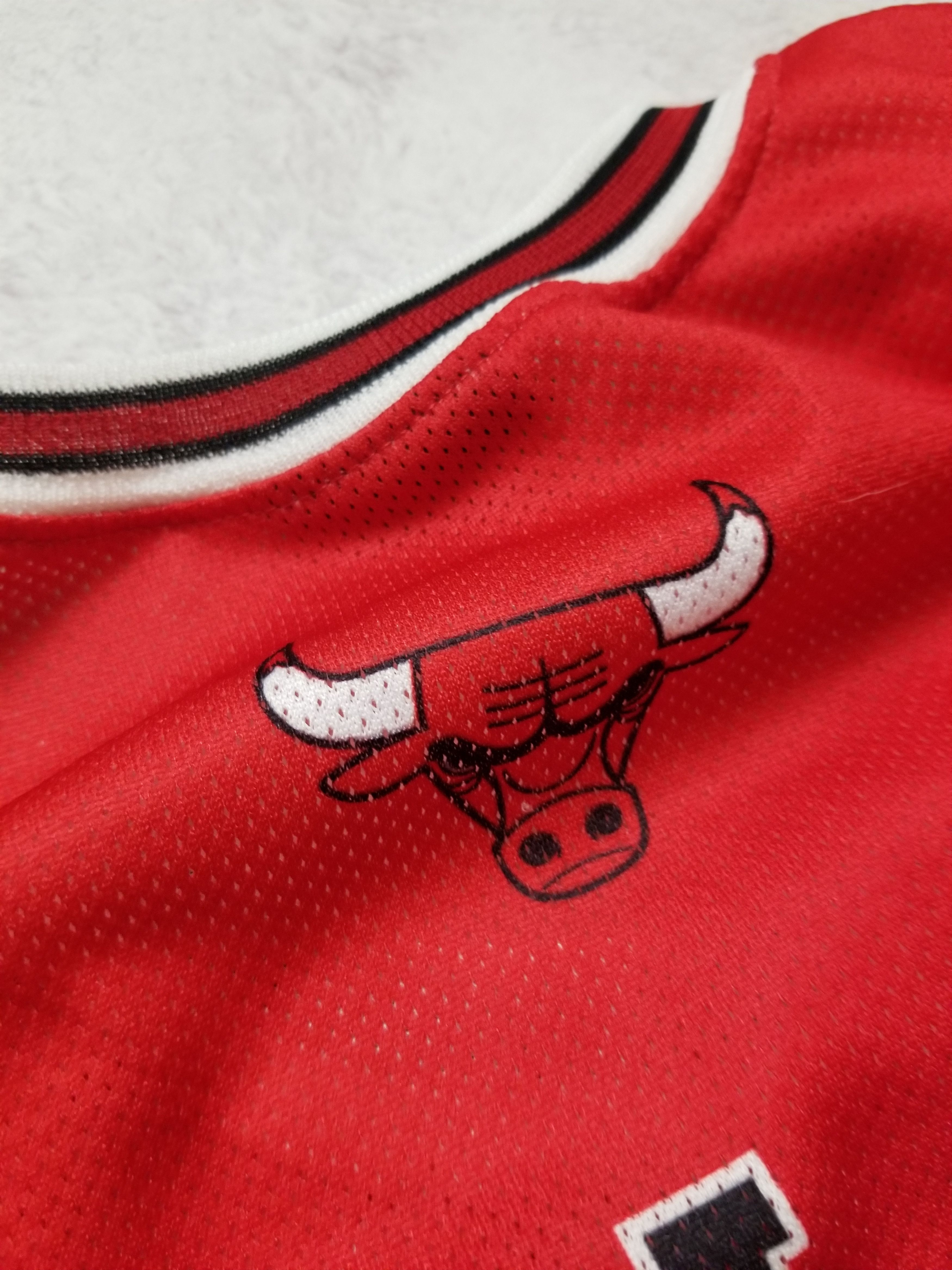 Champion VINTAGE CHAMPION #2 THABO SEFOLOSHA CHICAGO BULLS JERSEY Size US M / EU 48-50 / 2 - 4 Thumbnail