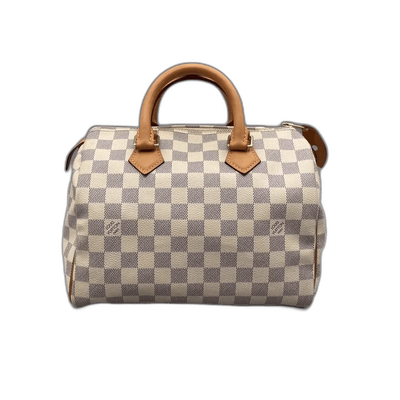 Louis Vuitton Louis Vuitton Speedy 25 Checkered Handbag Size ONE SIZE - 1 Thumbnail