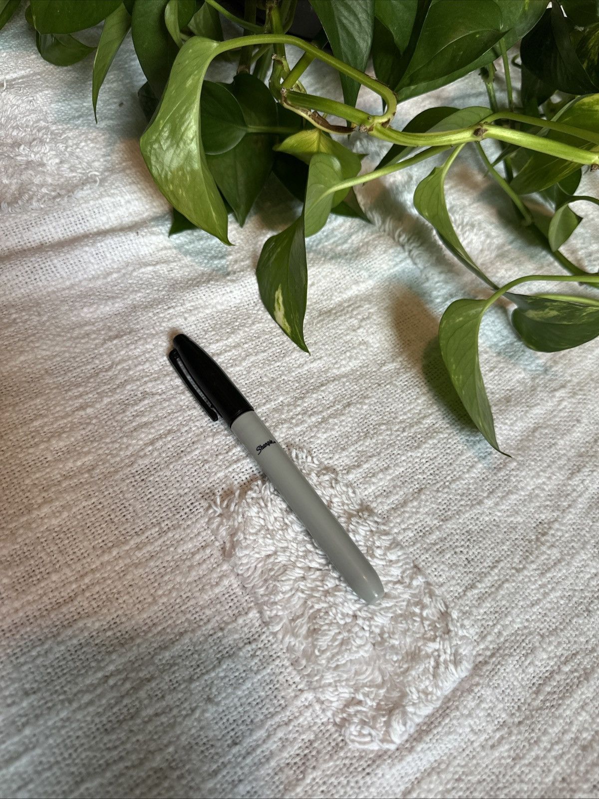 Kith Kith Treats Sharpie Size ONE SIZE - 3 Thumbnail
