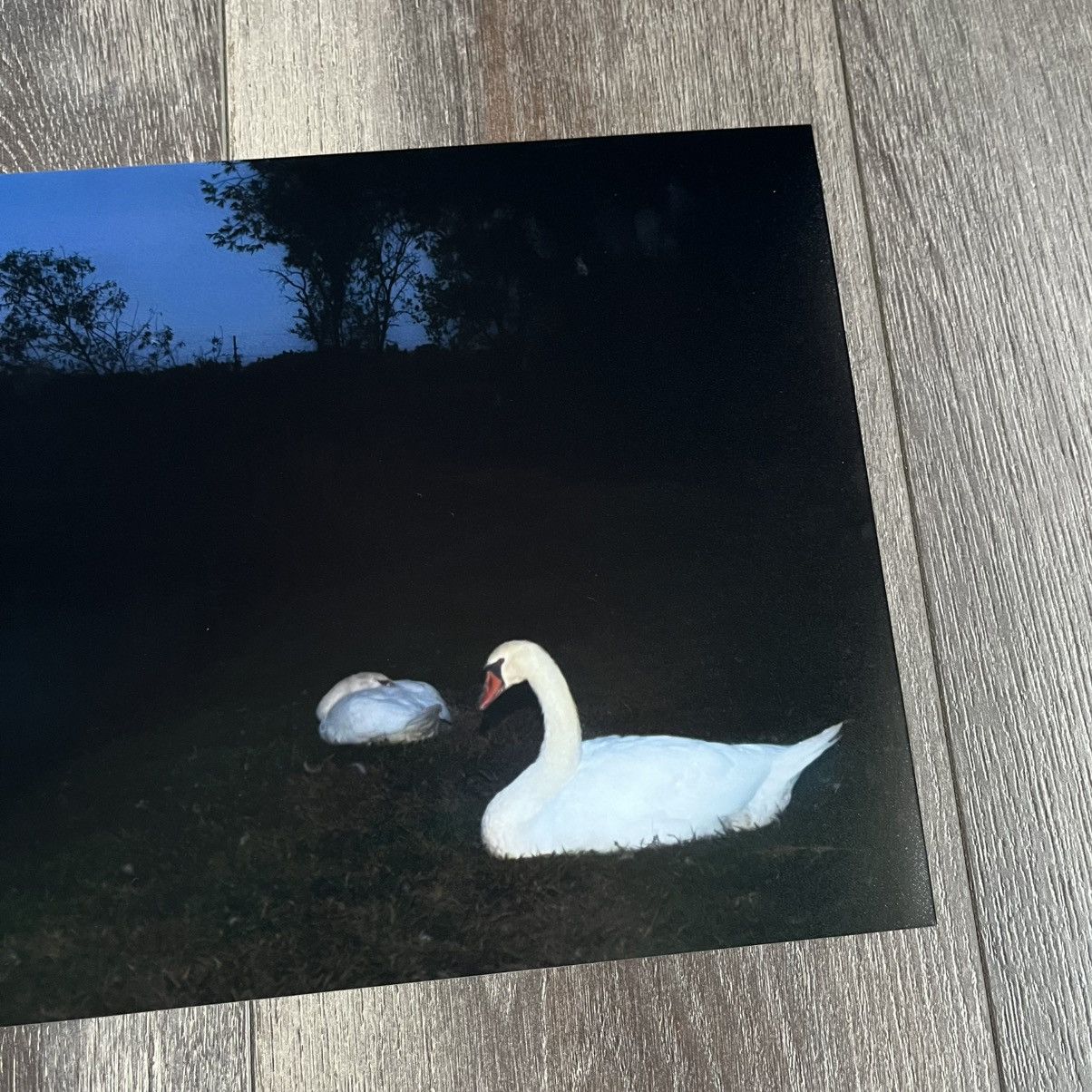 Drain Gang Snow Strippers Tati The Swans Print Photograph 1/100 Rare Size ONE SIZE - 5 Thumbnail