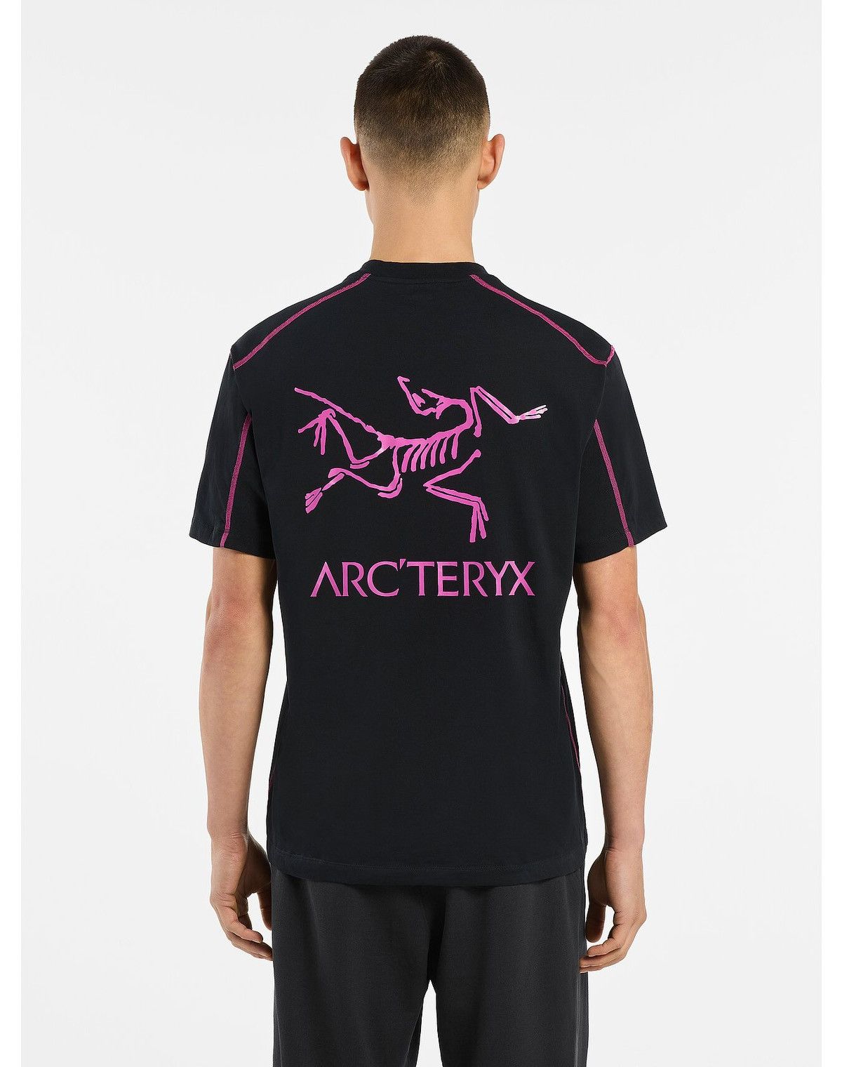 Arc'Teryx Arc'teryx System A Copal Bird Tee | Grailed