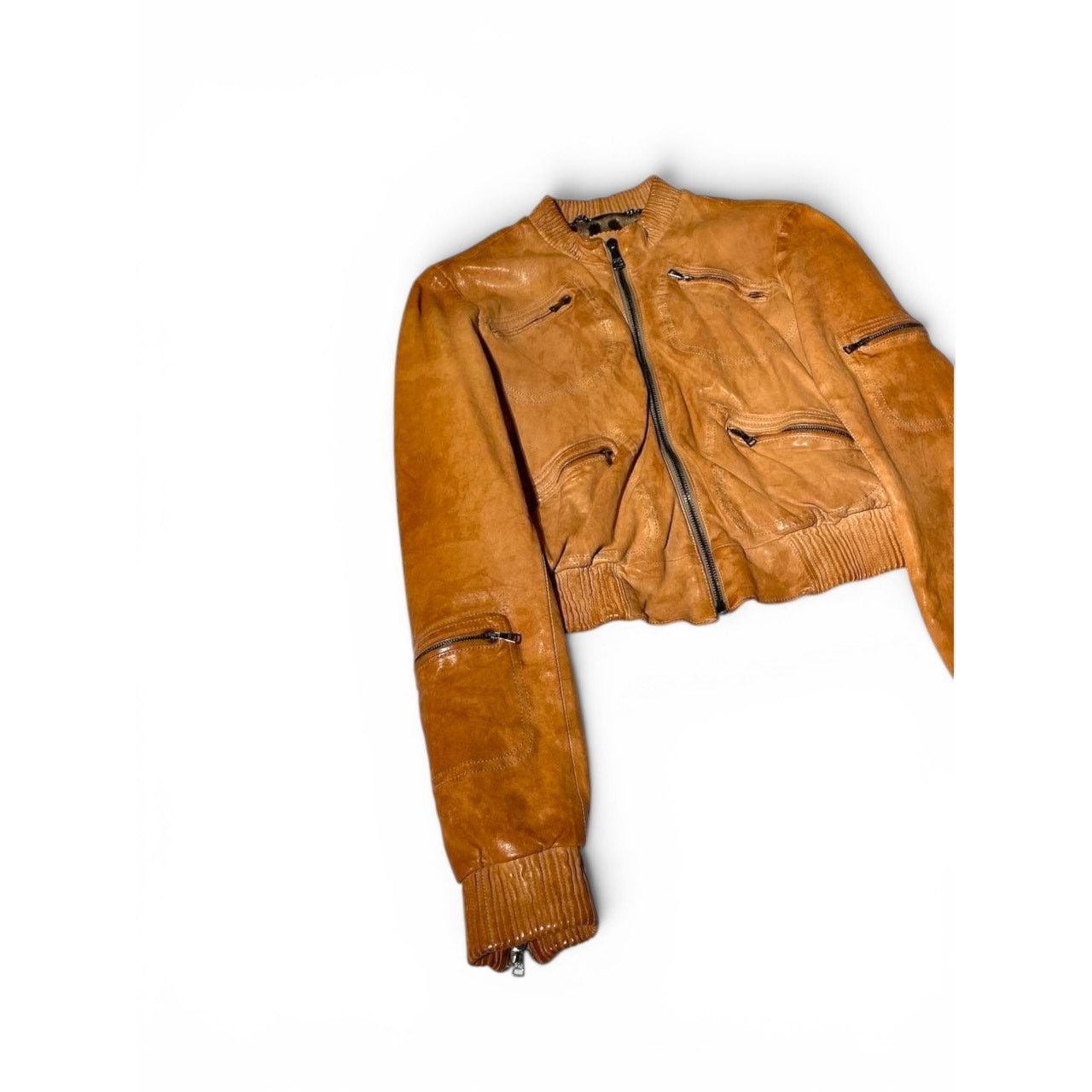 Dolce & Gabbana Dolce & Gabbana Leopard Lined Leather Bomber Jacket Size M / US 6-8 / IT 42-44 - 4 Thumbnail