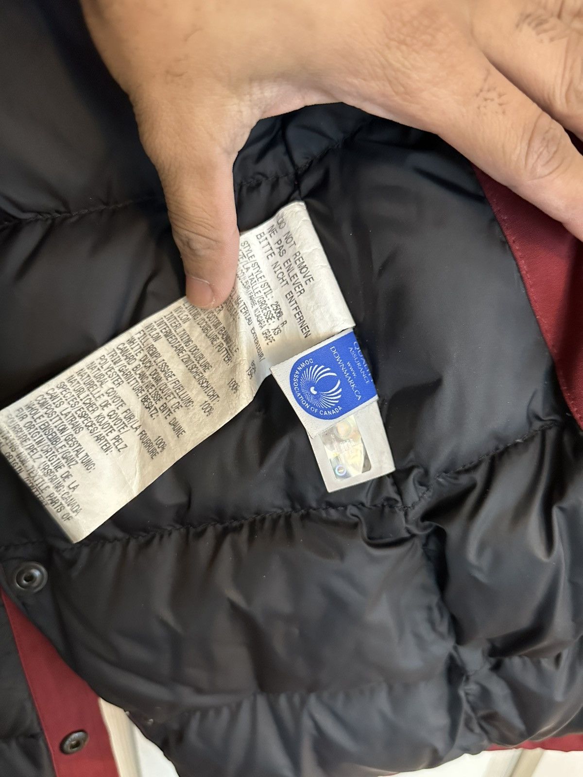 Canada Goose Canada Goose Women kensington Parka Size XS / US 0-2 / IT 36-38 - 9 Thumbnail
