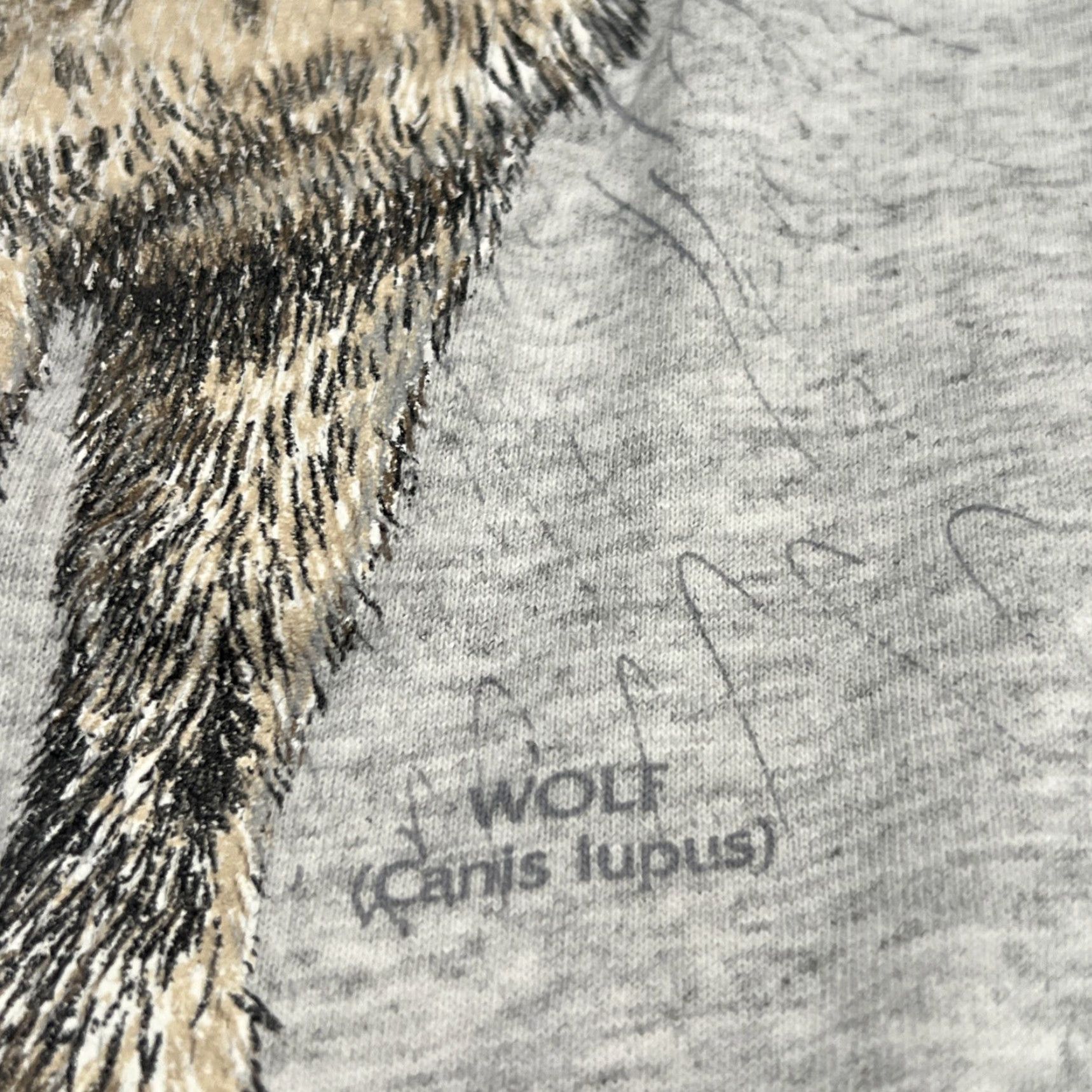 Vintage VINTAGE 90s Grey Wolf Canis Lupus Shirt Graphic Cracking Hanes USA XL Men Short Sleeve Cotton Tee Size US XL / EU 56 / 4 - 5 Thumbnail