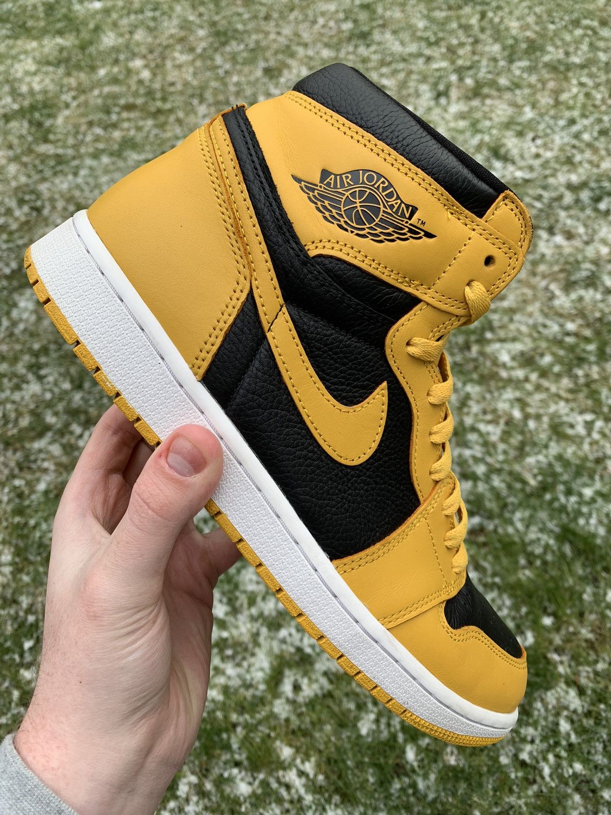 Jordan 1 Retro OG High Pollen 2021 Size 10.5