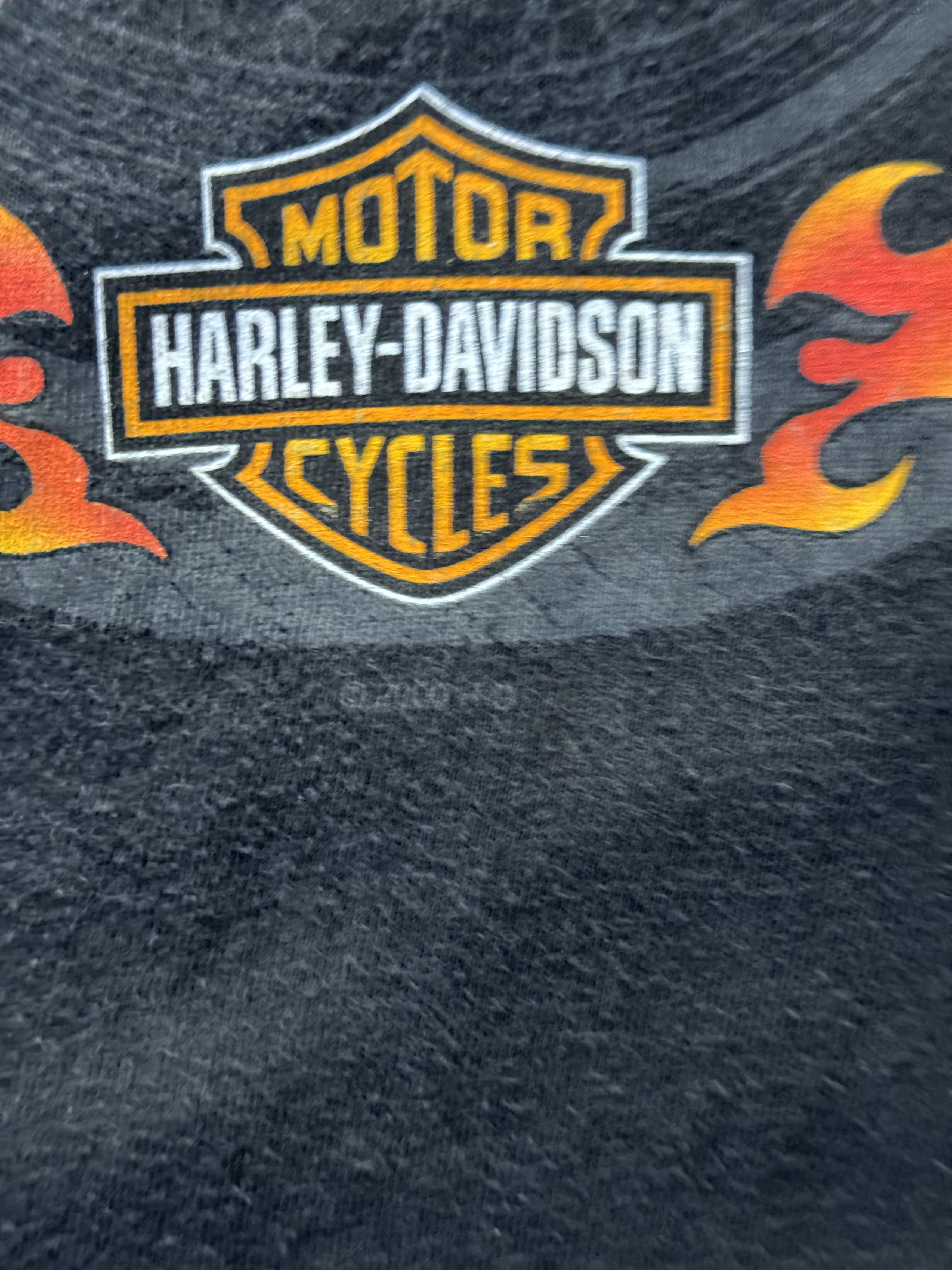 Hanes × Harley Davidson × Vintage Vintage Y2K Harley Davidson Denver, CO "Hell on Wheels" Tee Size US M / EU 48-50 / 2 - 6 Thumbnail