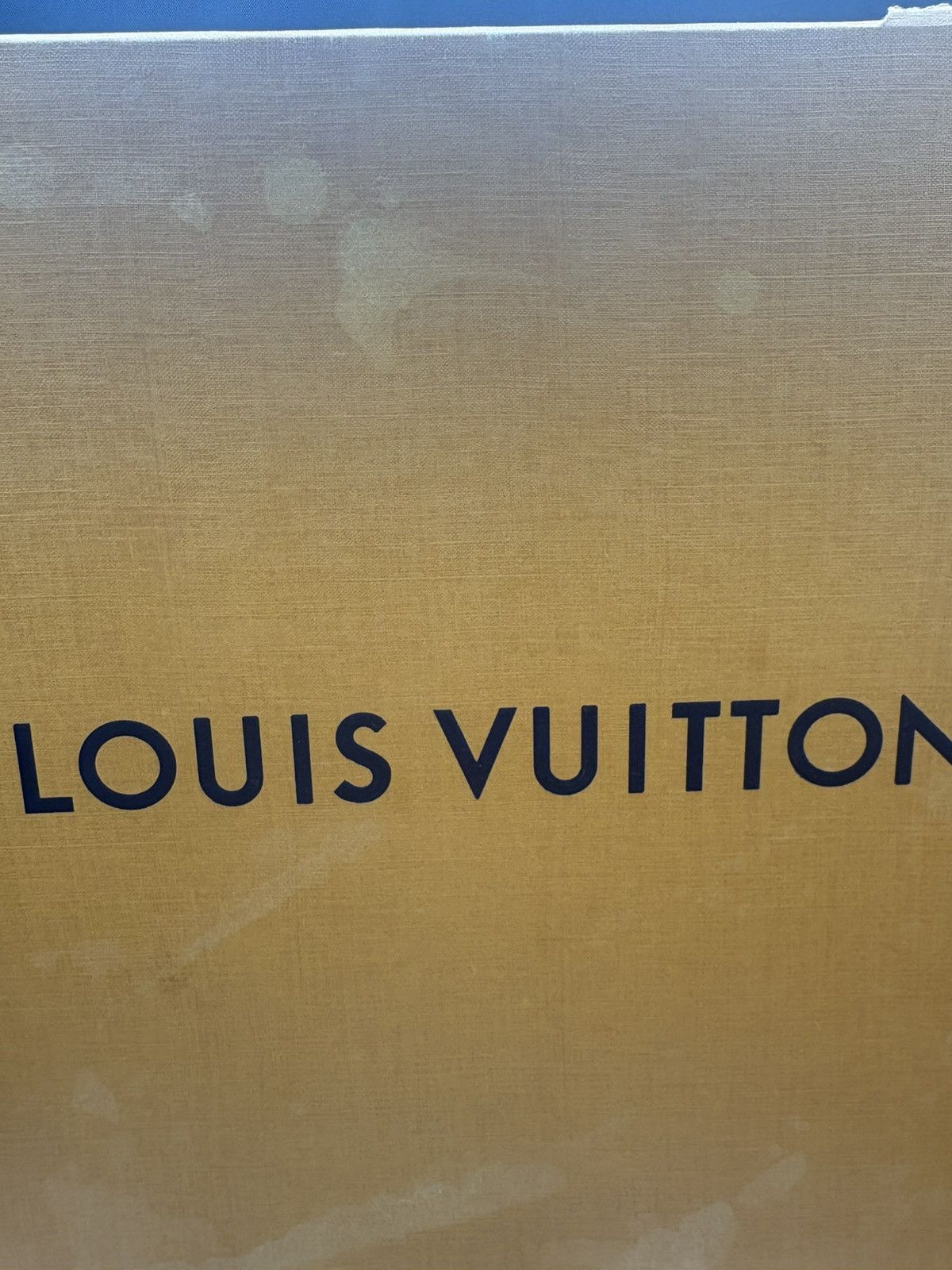 Louis Vuitton Louis vuitton cream skates Size US 8.5 / EU 41-42 - 2 Thumbnail