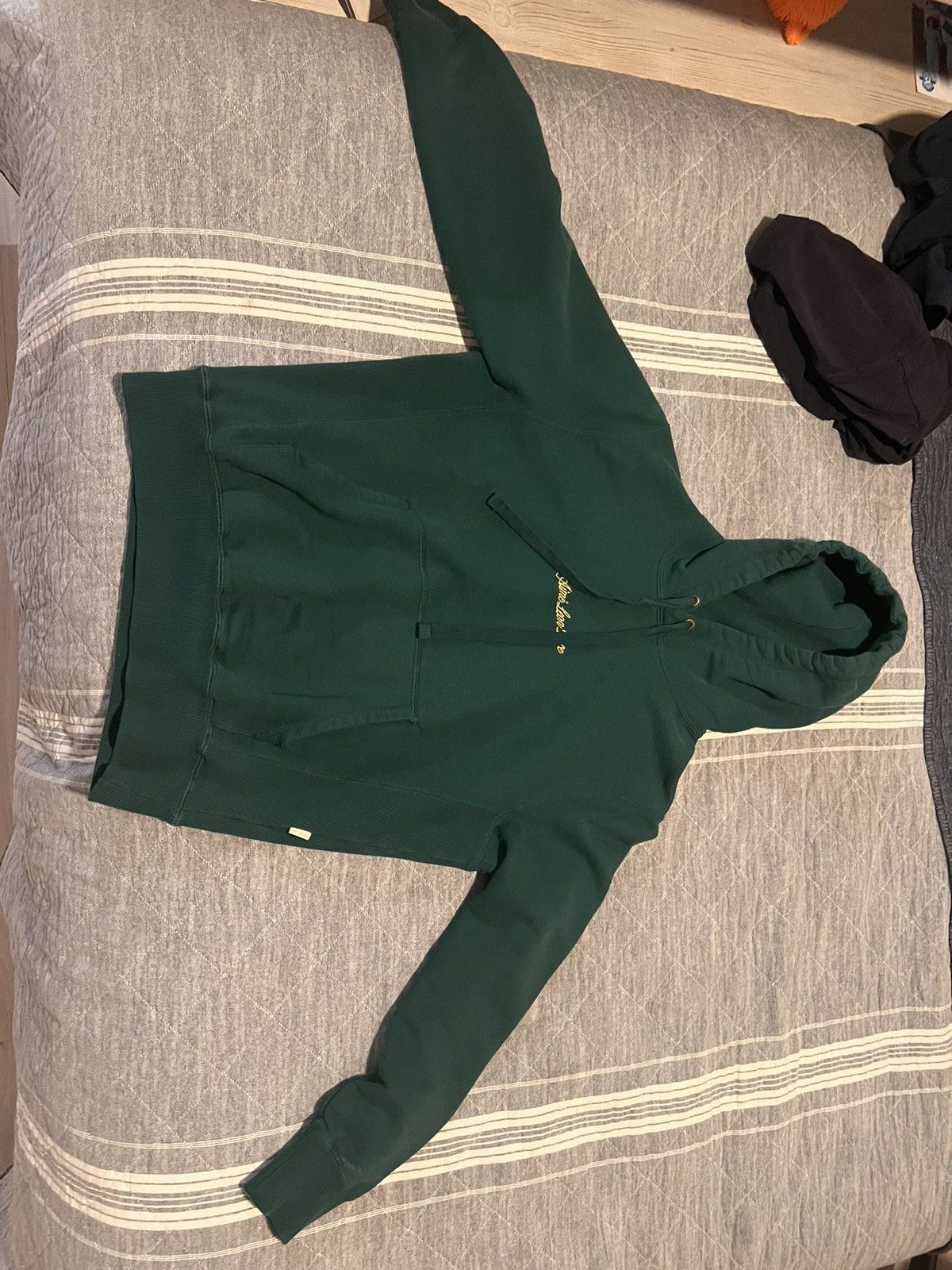 Aime Leon Dore Kanga Hoodie in Green