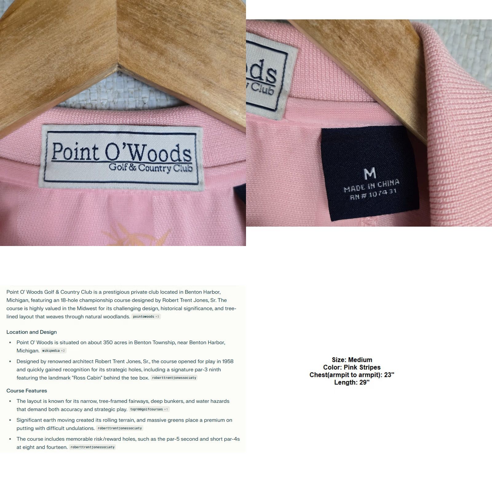 Vintage Point o Woods Shirt Mens M Pink MICHIGAN Stripe Polo Size Poly Bamboo Size US M / EU 48-50 / 2 - 8 Thumbnail