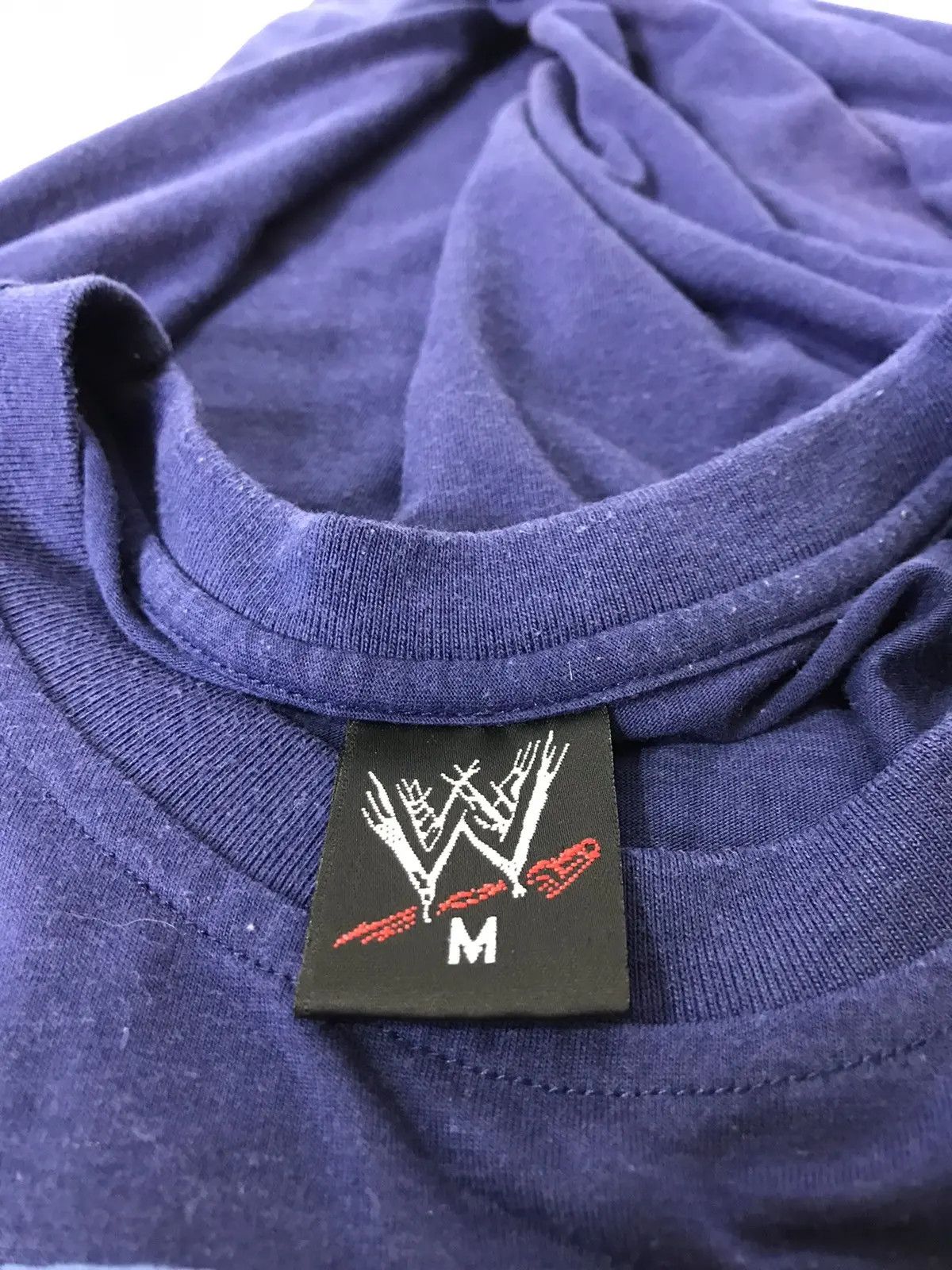 Band Tees × WWE × WWF Vintage Hardy Boyz t-shirt WWE size M Size US M / EU 48-50 / 2 - 3 Thumbnail