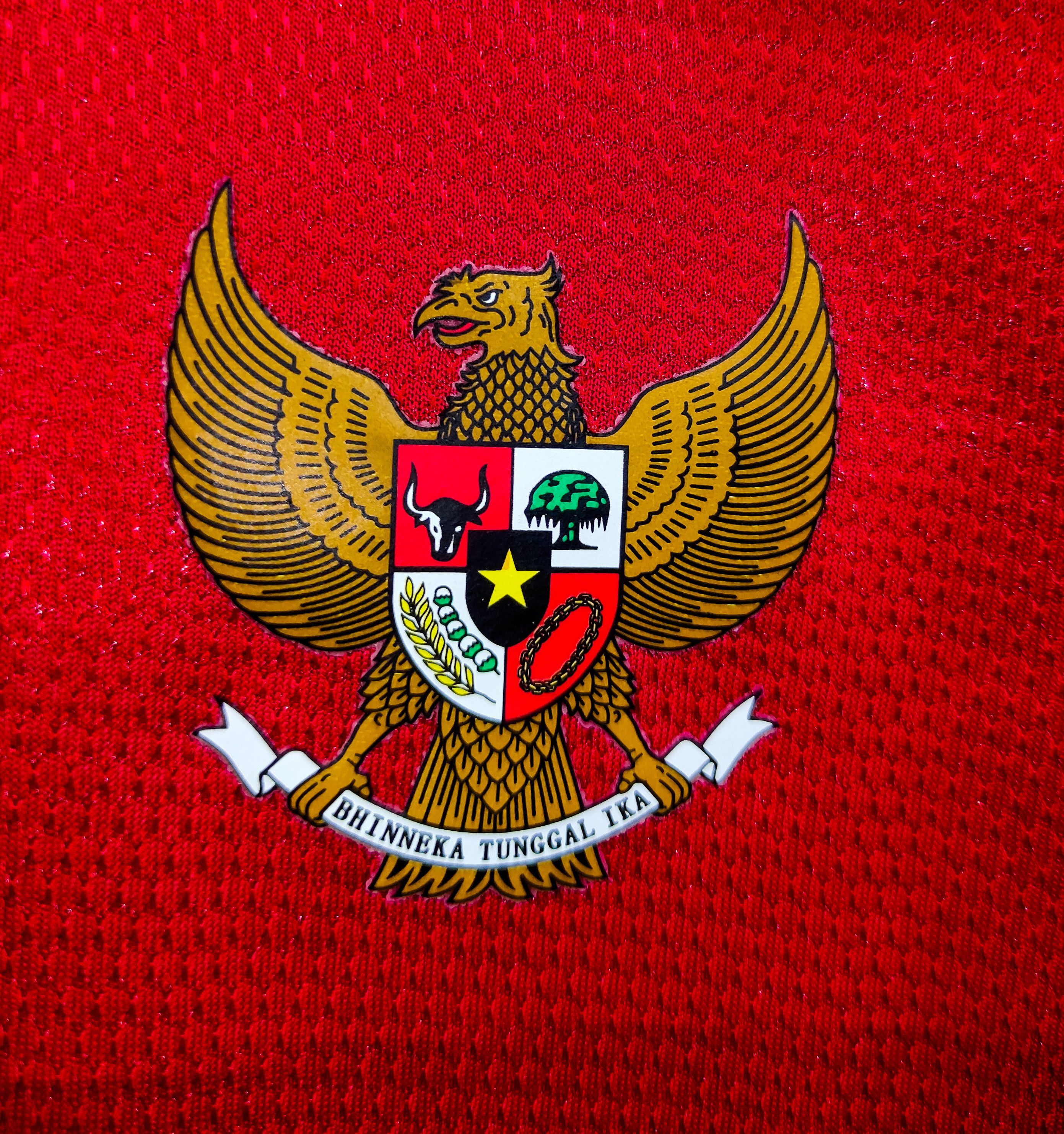 Nike Indonesia 2012 2013 Nike Home Player Issue Authentic Shirt Size US L / EU 52-54 / 3 - 9 Thumbnail