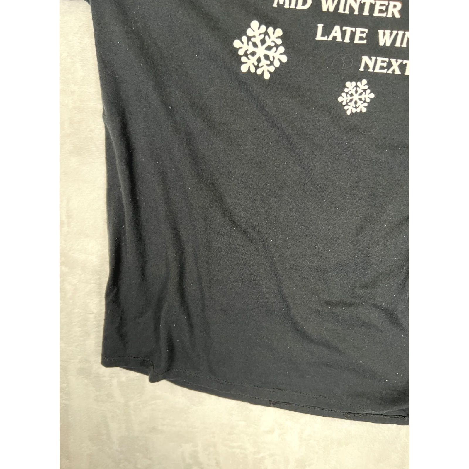Jerzees VINTAGE Alaska Four Seasons T-Shirt Mens XL Black Short Sleeve Graphic Print Humor Winter Size US XL / EU 56 / 4 - 5 Thumbnail